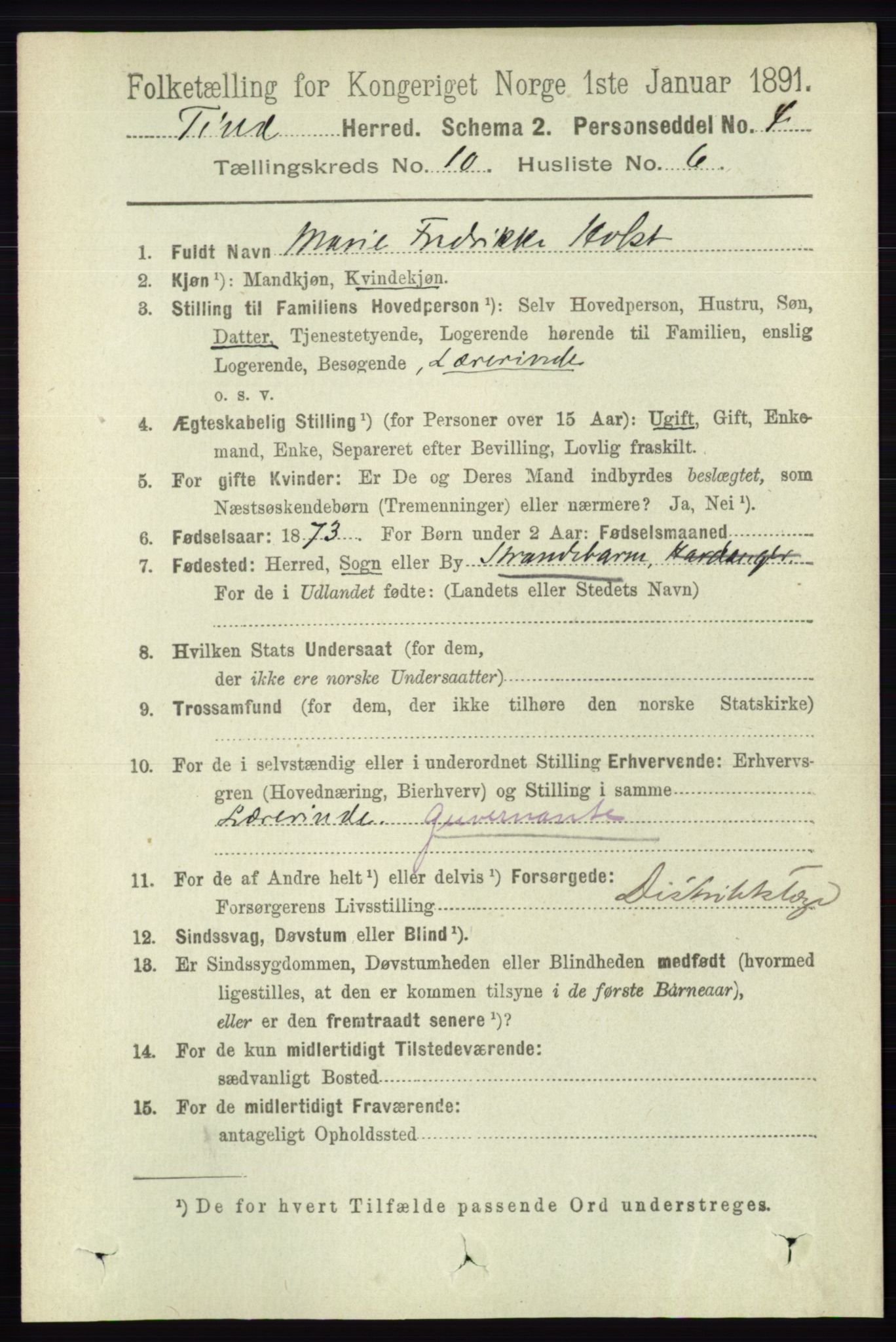 RA, 1891 census for 0826 Tinn, 1891, p. 2004