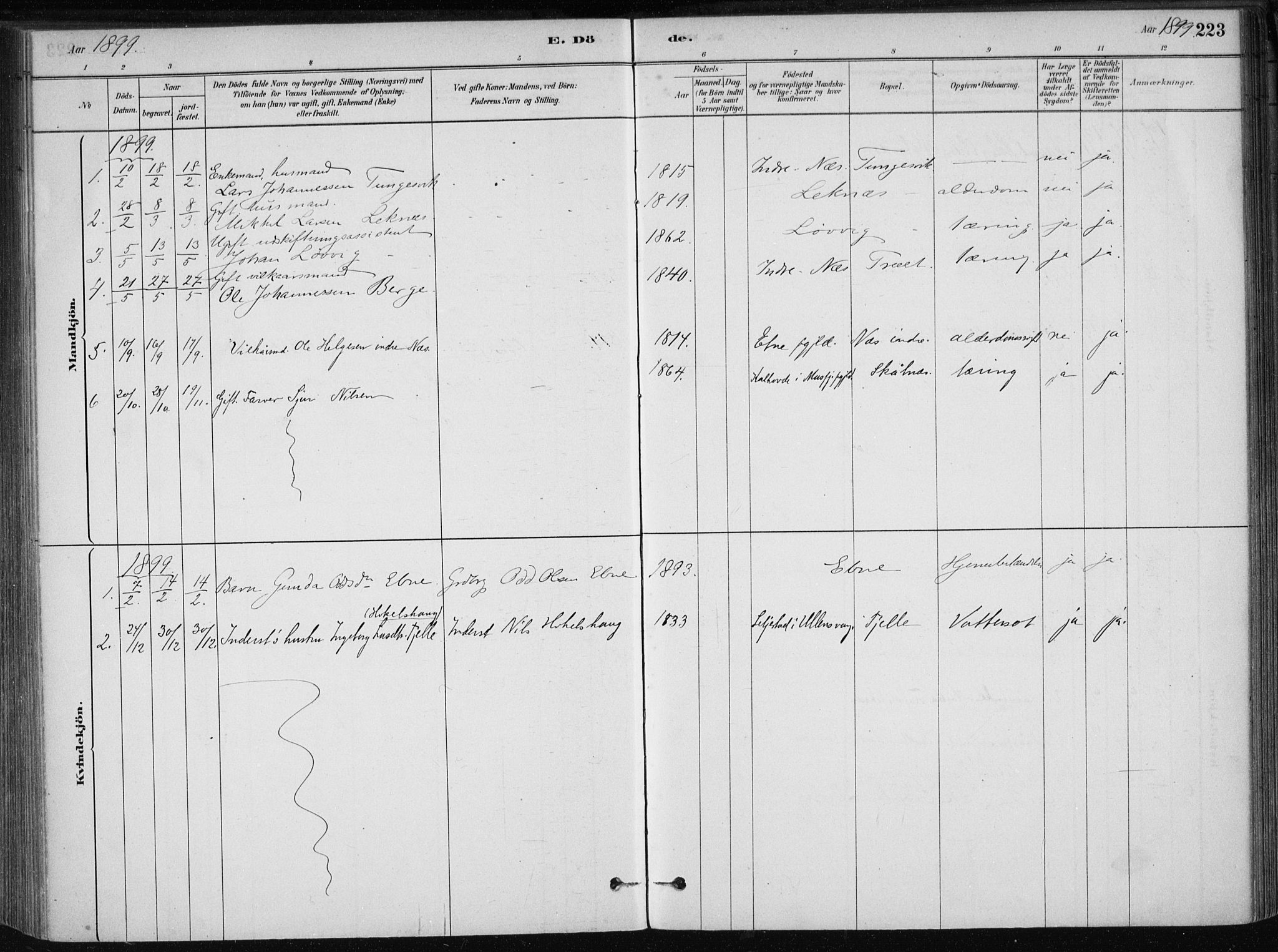 Skånevik sokneprestembete, SAB/A-77801/H/Haa: Parish register (official) no. B 1, 1879-1914, p. 223