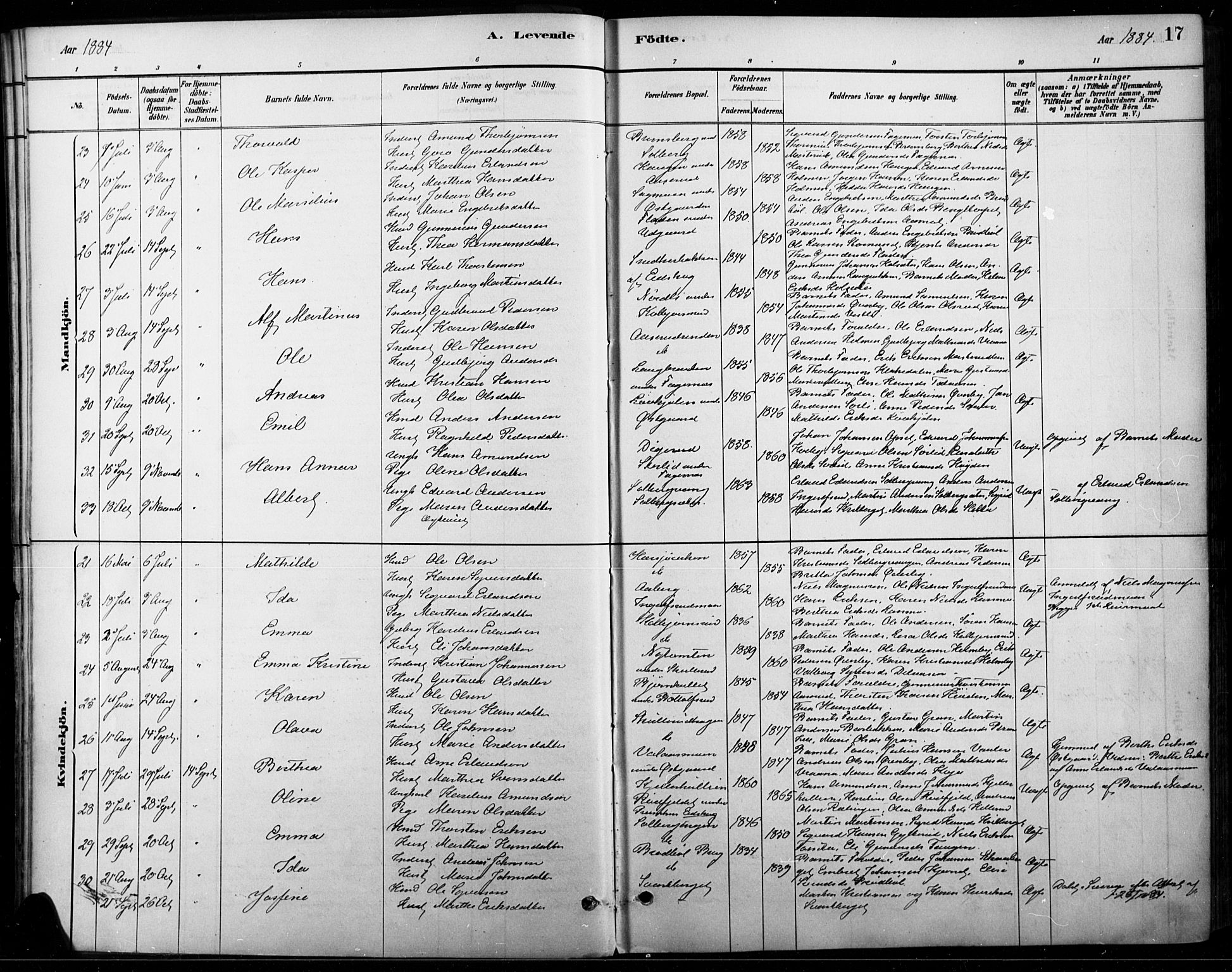 Vinger prestekontor, AV/SAH-PREST-024/H/Ha/Haa/L0015: Parish register (official) no. 15, 1881-1900, p. 17