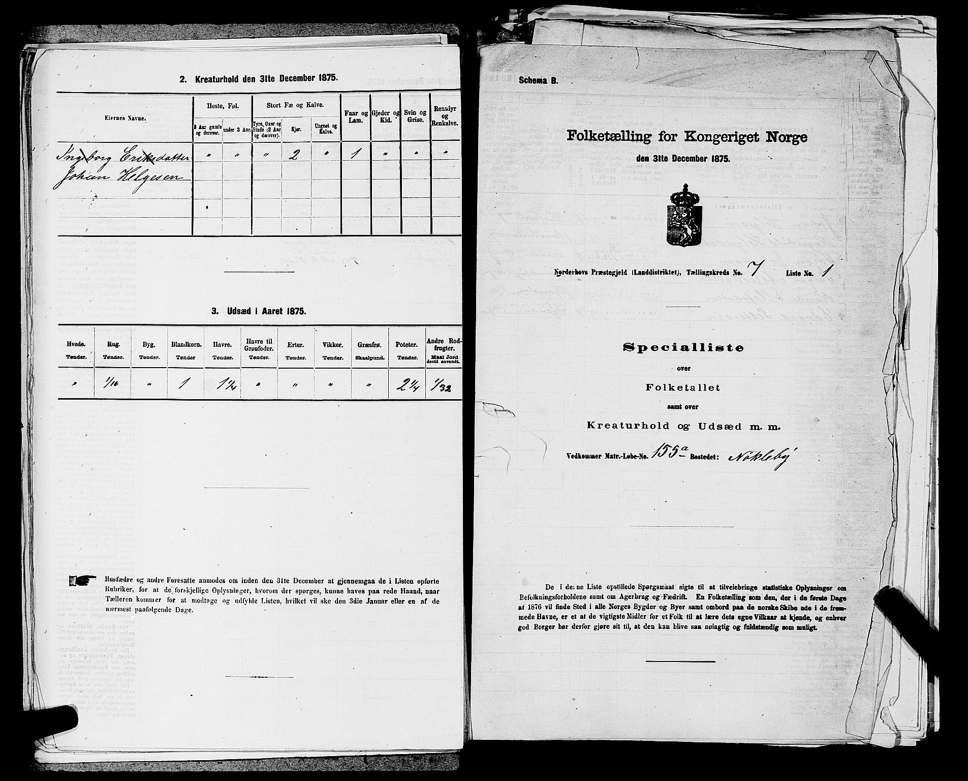 SAKO, 1875 census for 0613L Norderhov/Norderhov, Haug og Lunder, 1875, p. 1494