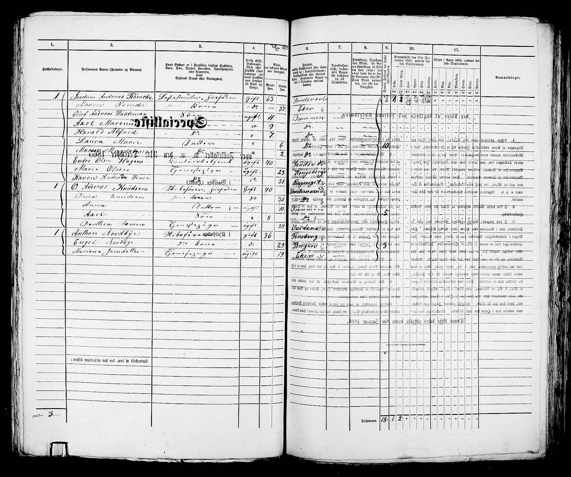 RA, 1865 census for Bragernes in Drammen, 1865, p. 1006