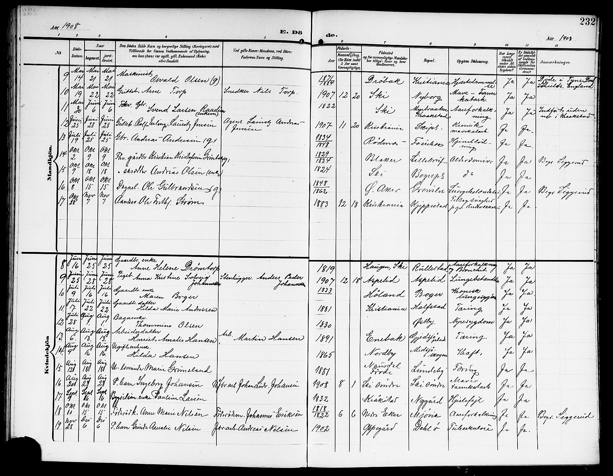 Kråkstad prestekontor Kirkebøker, SAO/A-10125a/G/Gb/L0001: Parish register (copy) no. II 1, 1905-1920, p. 232