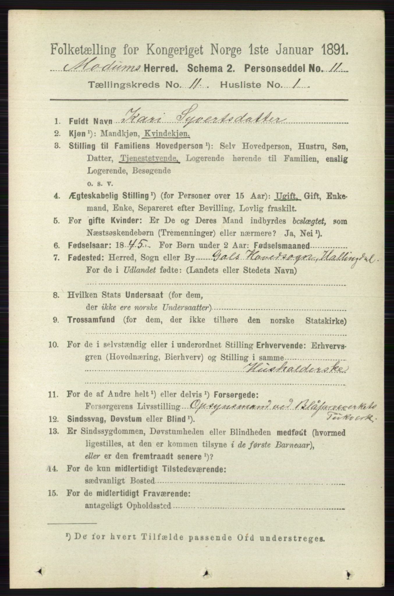 RA, 1891 census for 0623 Modum, 1891, p. 4120