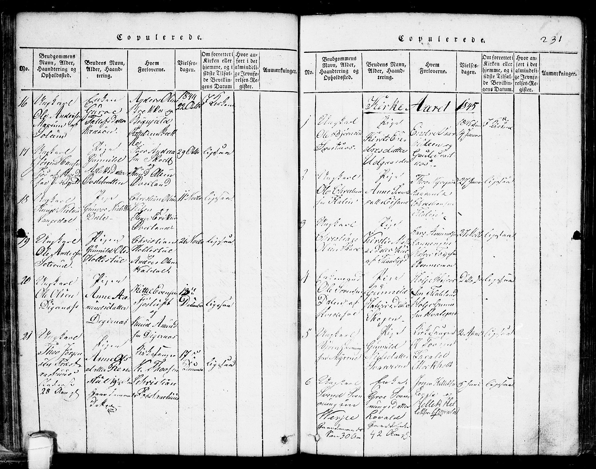 Seljord kirkebøker, SAKO/A-20/G/Ga/L0001: Parish register (copy) no. I 1, 1815-1854, p. 231