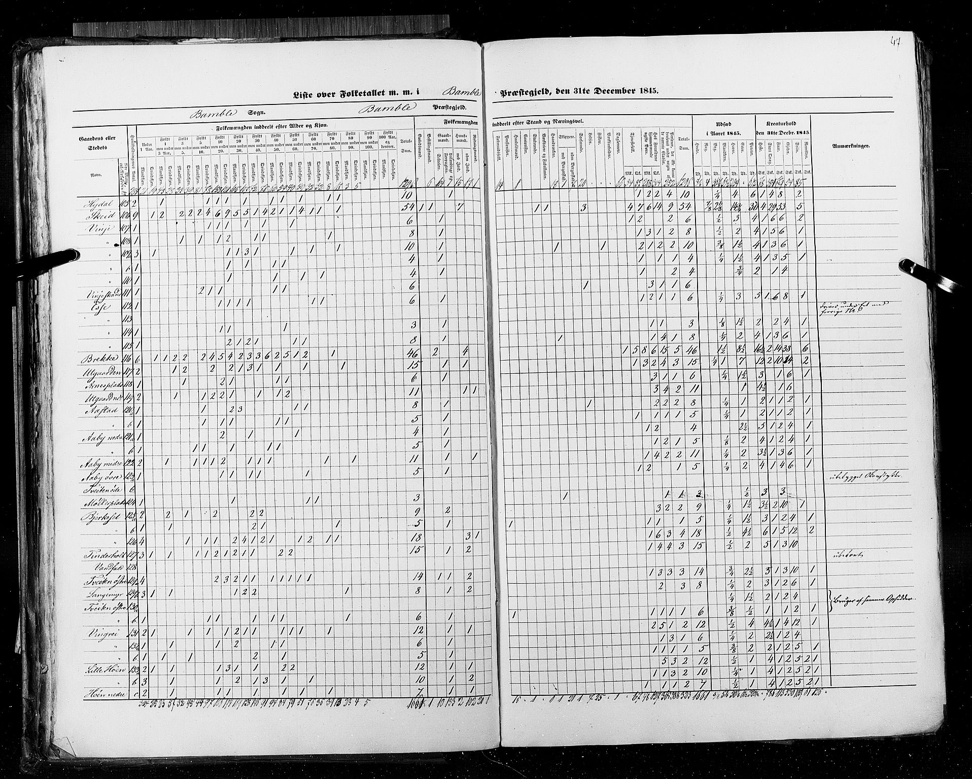 RA, Census 1845, vol. 5: Bratsberg amt og Nedenes og Råbyggelaget amt, 1845, p. 47