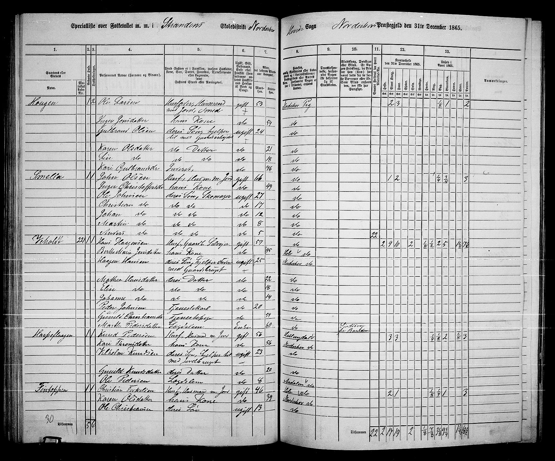 RA, 1865 census for Norderhov/Norderhov, Haug og Lunder, 1865, p. 156