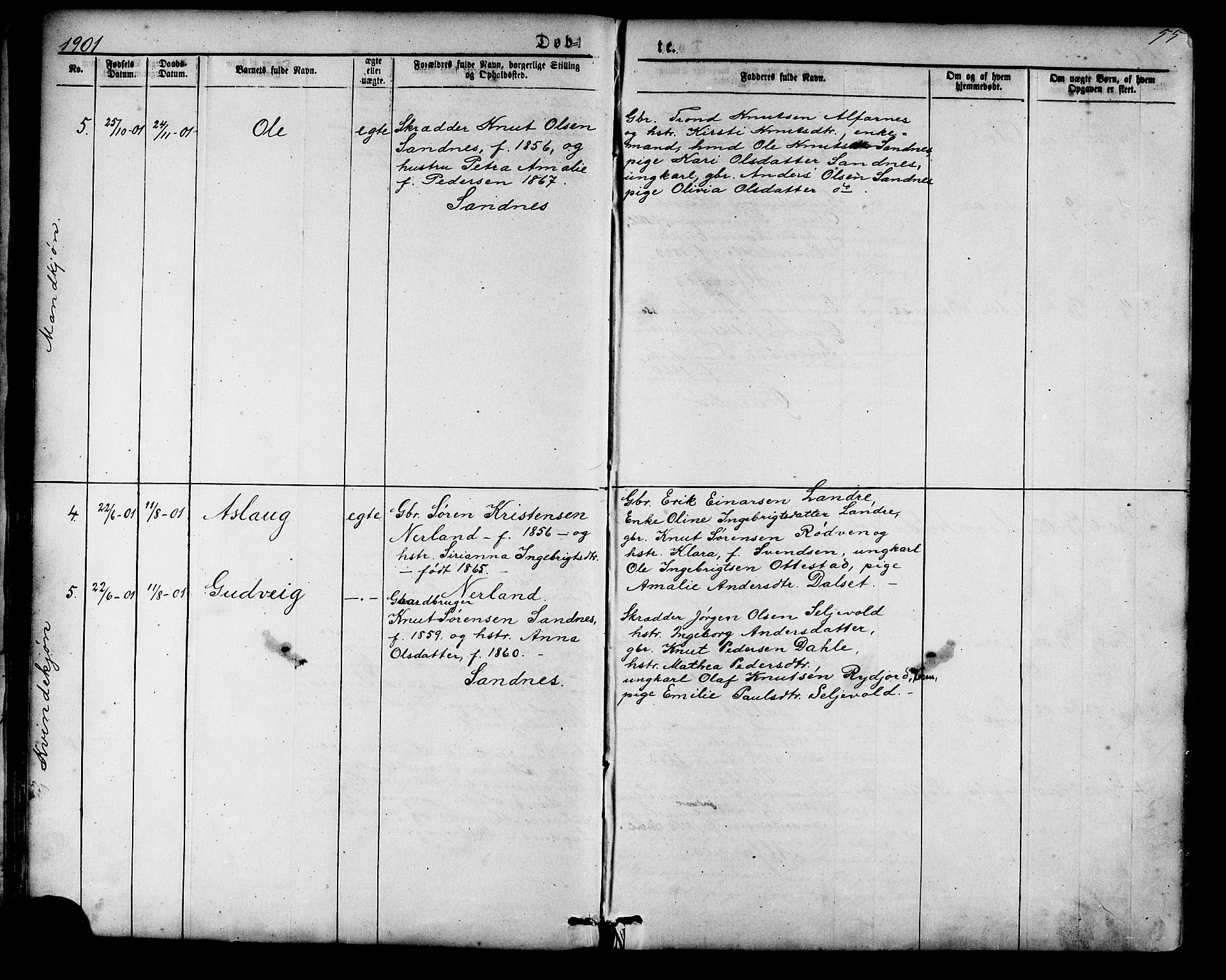 Ministerialprotokoller, klokkerbøker og fødselsregistre - Møre og Romsdal, AV/SAT-A-1454/548/L0614: Parish register (copy) no. 548C02, 1867-1917, p. 55