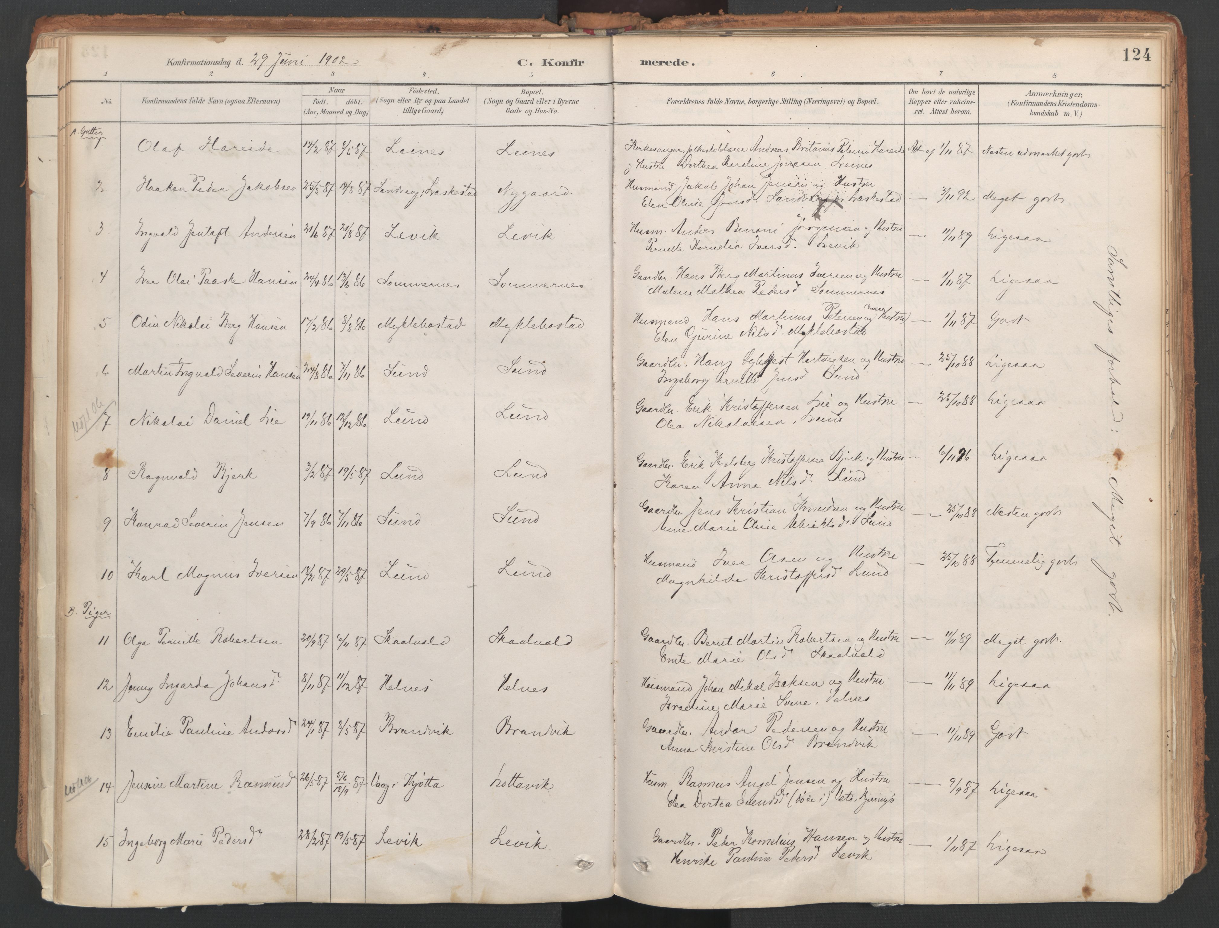 Ministerialprotokoller, klokkerbøker og fødselsregistre - Nordland, SAT/A-1459/857/L0822: Parish register (official) no. 857A02, 1890-1917, p. 124