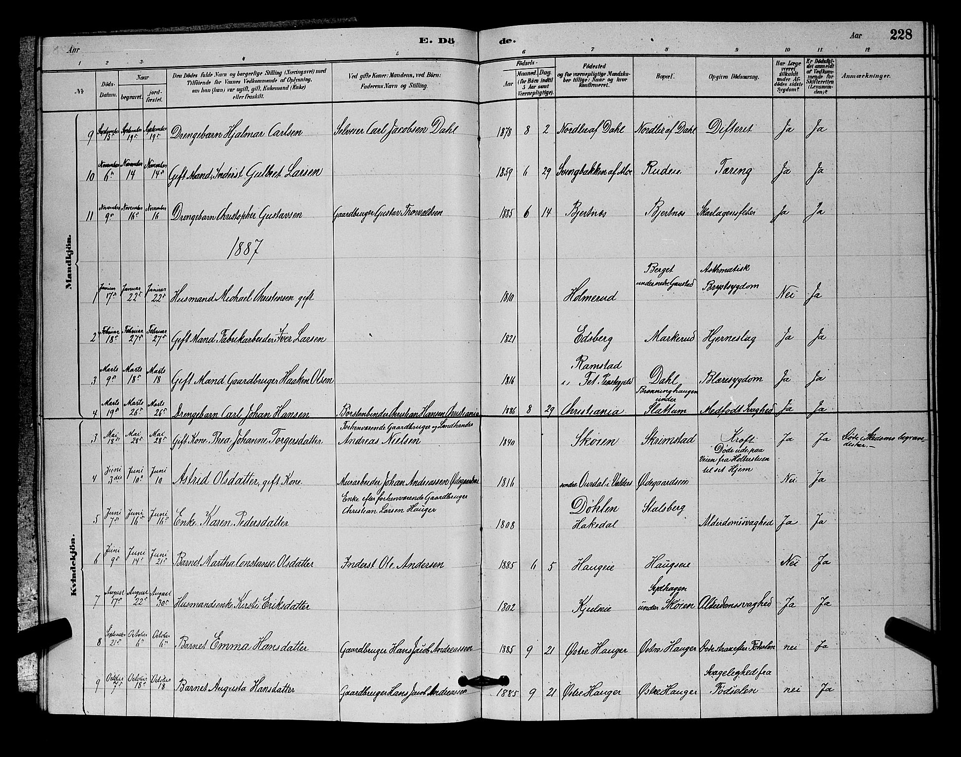 Nittedal prestekontor Kirkebøker, SAO/A-10365a/G/Ga/L0002: Parish register (copy) no. I 2, 1879-1901, p. 228