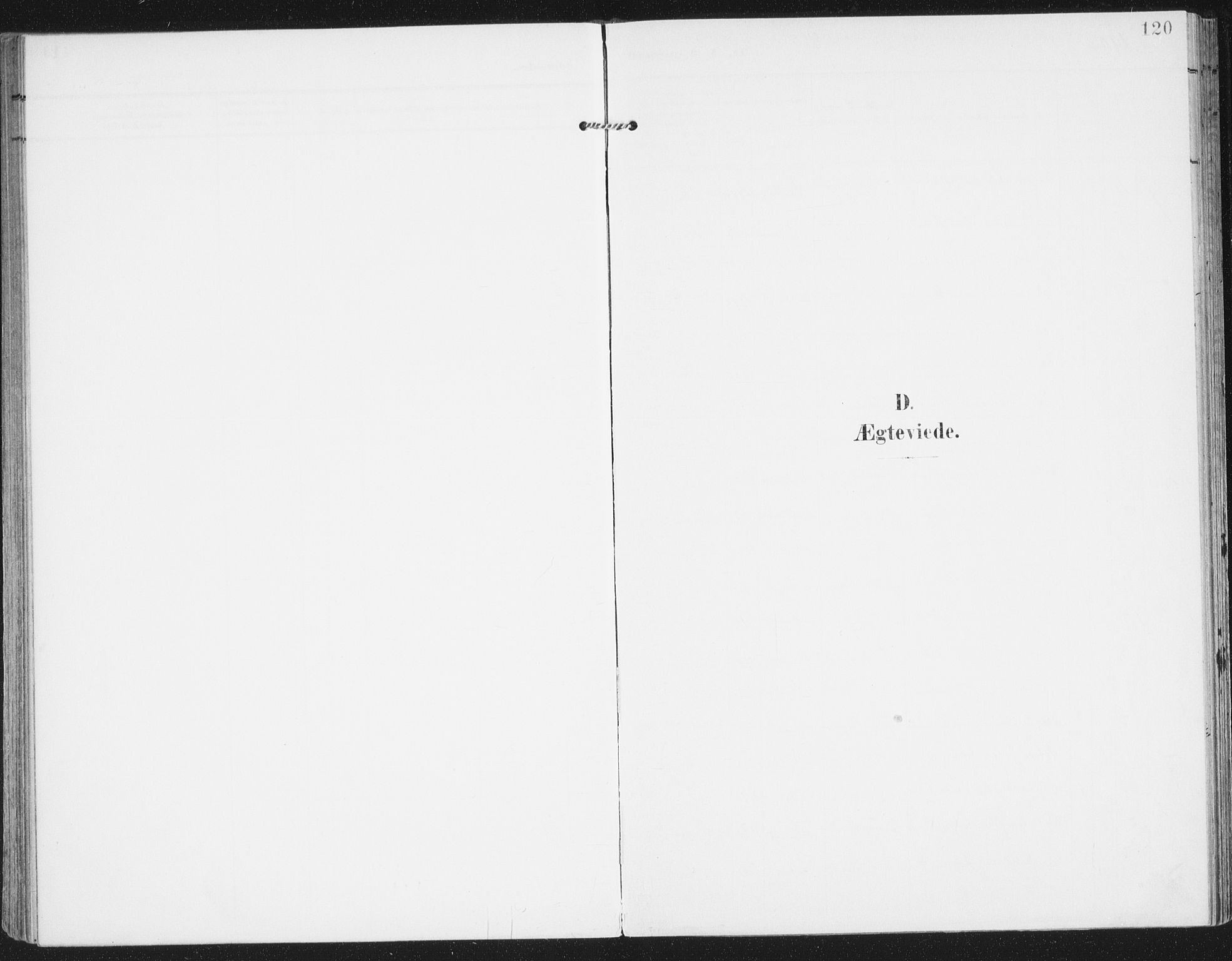 Ministerialprotokoller, klokkerbøker og fødselsregistre - Nordland, AV/SAT-A-1459/841/L0612: Parish register (official) no. 841A15, 1902-1910, p. 120