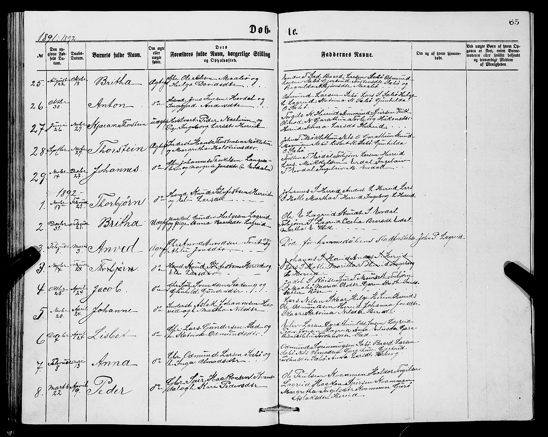 Ullensvang sokneprestembete, SAB/A-78701/H/Hab: Parish register (copy) no. C 2, 1871-1899, p. 65