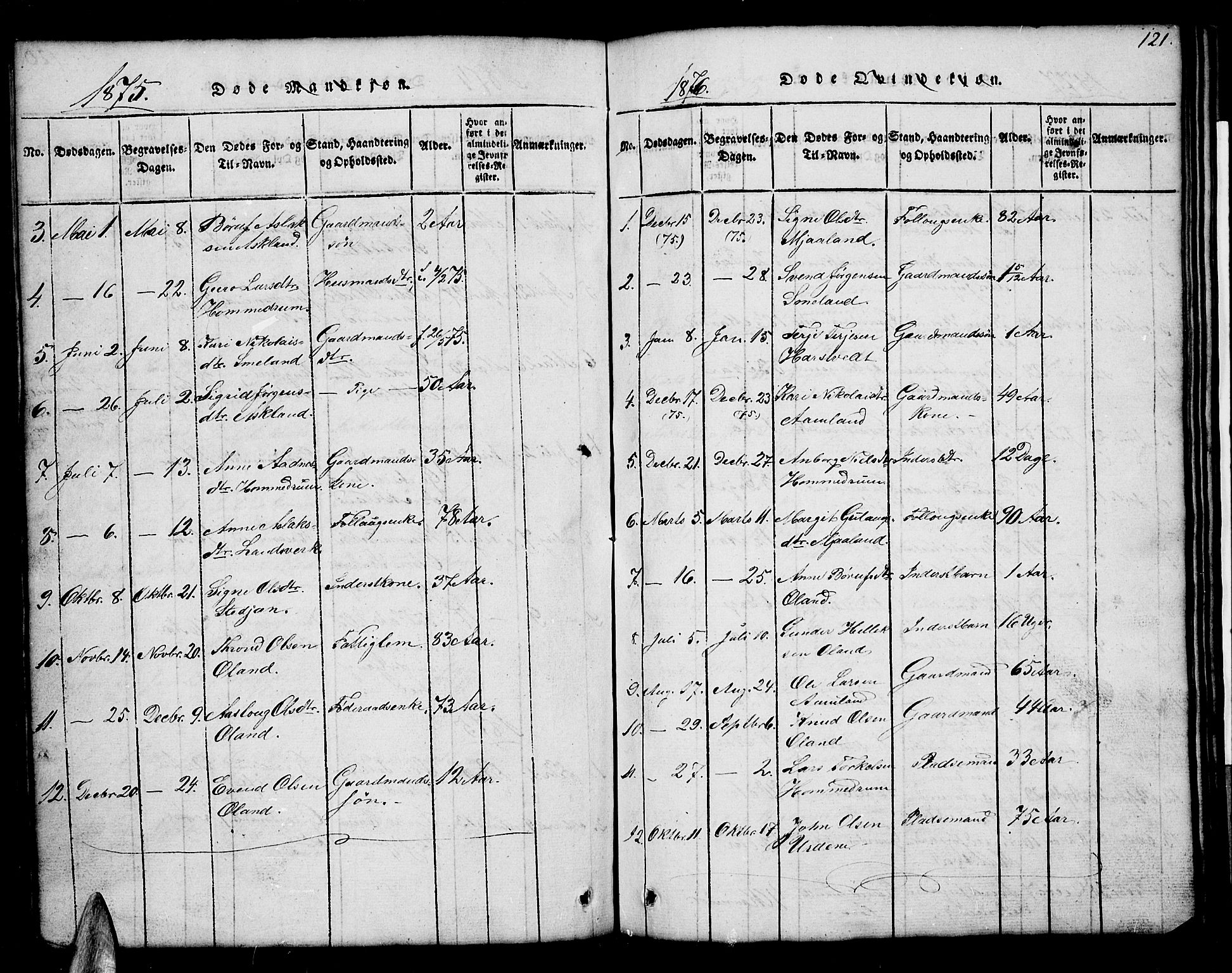 Åmli sokneprestkontor, AV/SAK-1111-0050/F/Fb/Fba/L0001: Parish register (copy) no. B 1, 1816-1890, p. 121