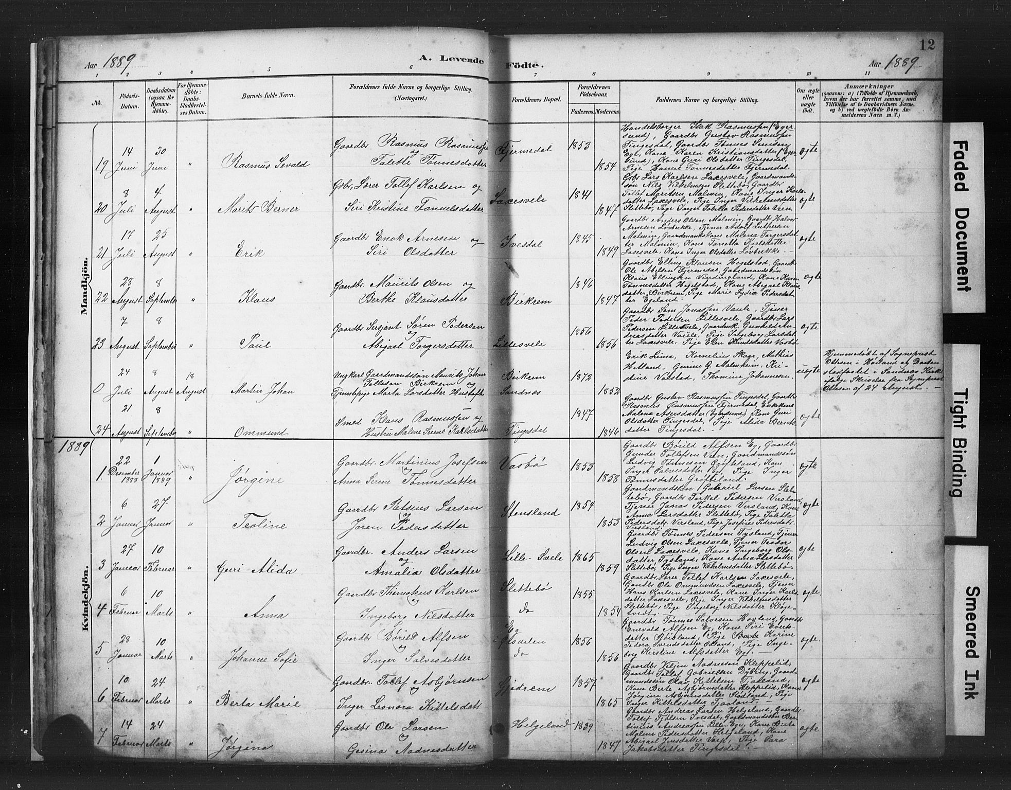 Helleland sokneprestkontor, AV/SAST-A-101810: Parish register (copy) no. B 5, 1887-1908, p. 12