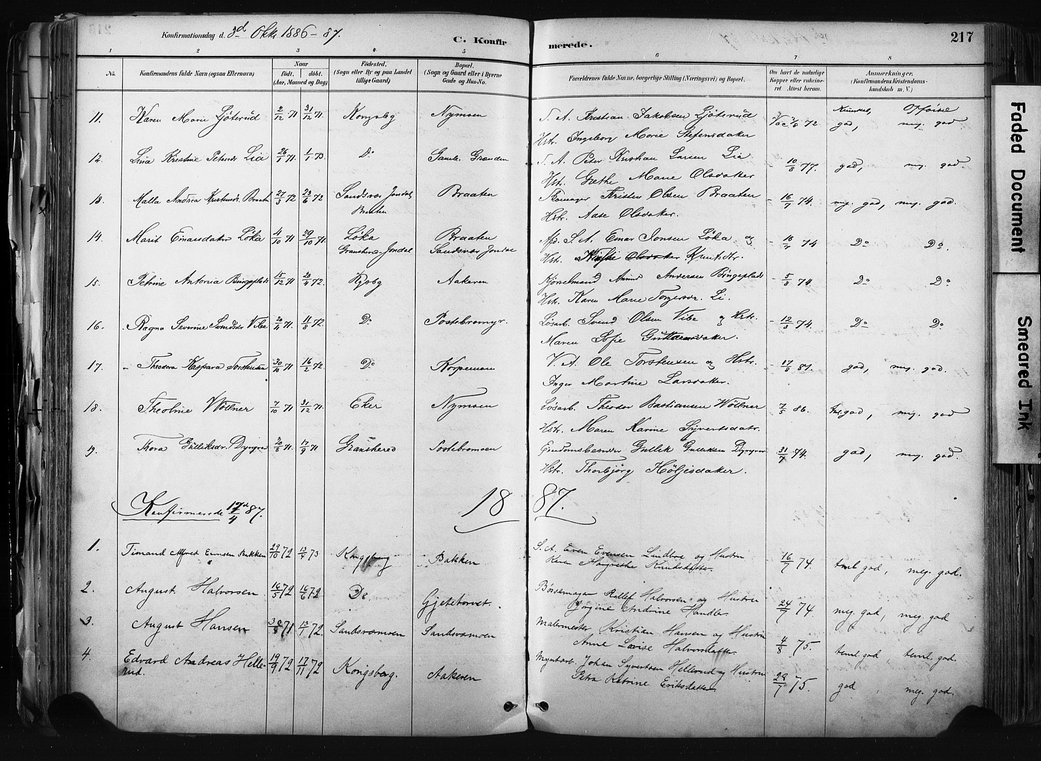 Kongsberg kirkebøker, SAKO/A-22/F/Fb/L0002: Parish register (official) no. II 2, 1886-1896, p. 217