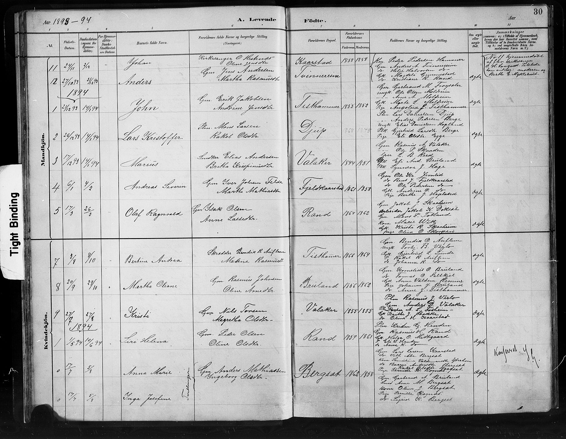 Innvik sokneprestembete, SAB/A-80501: Parish register (copy) no. C 3, 1883-1911, p. 30