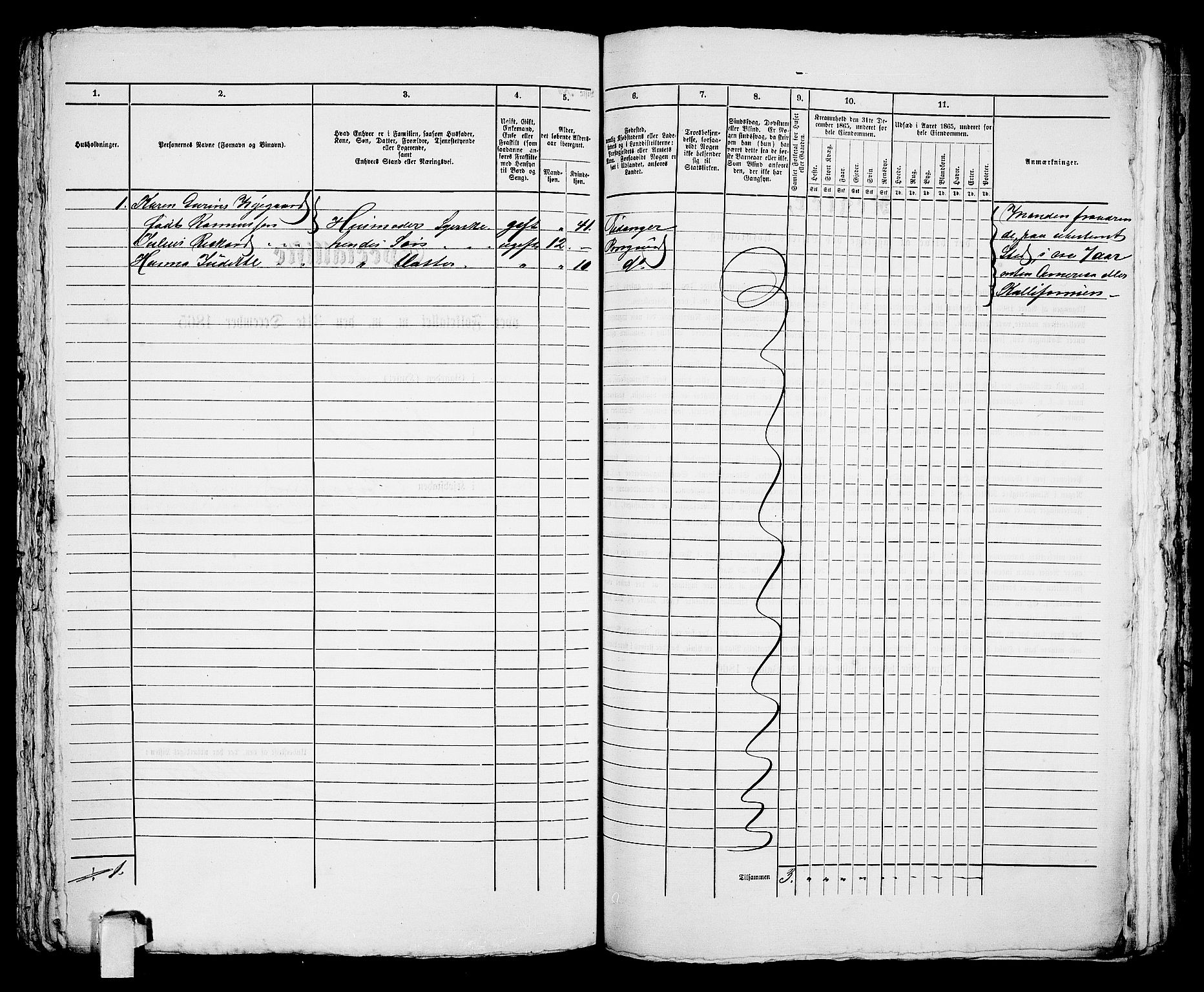 RA, 1865 census for Porsgrunn, 1865, p. 247