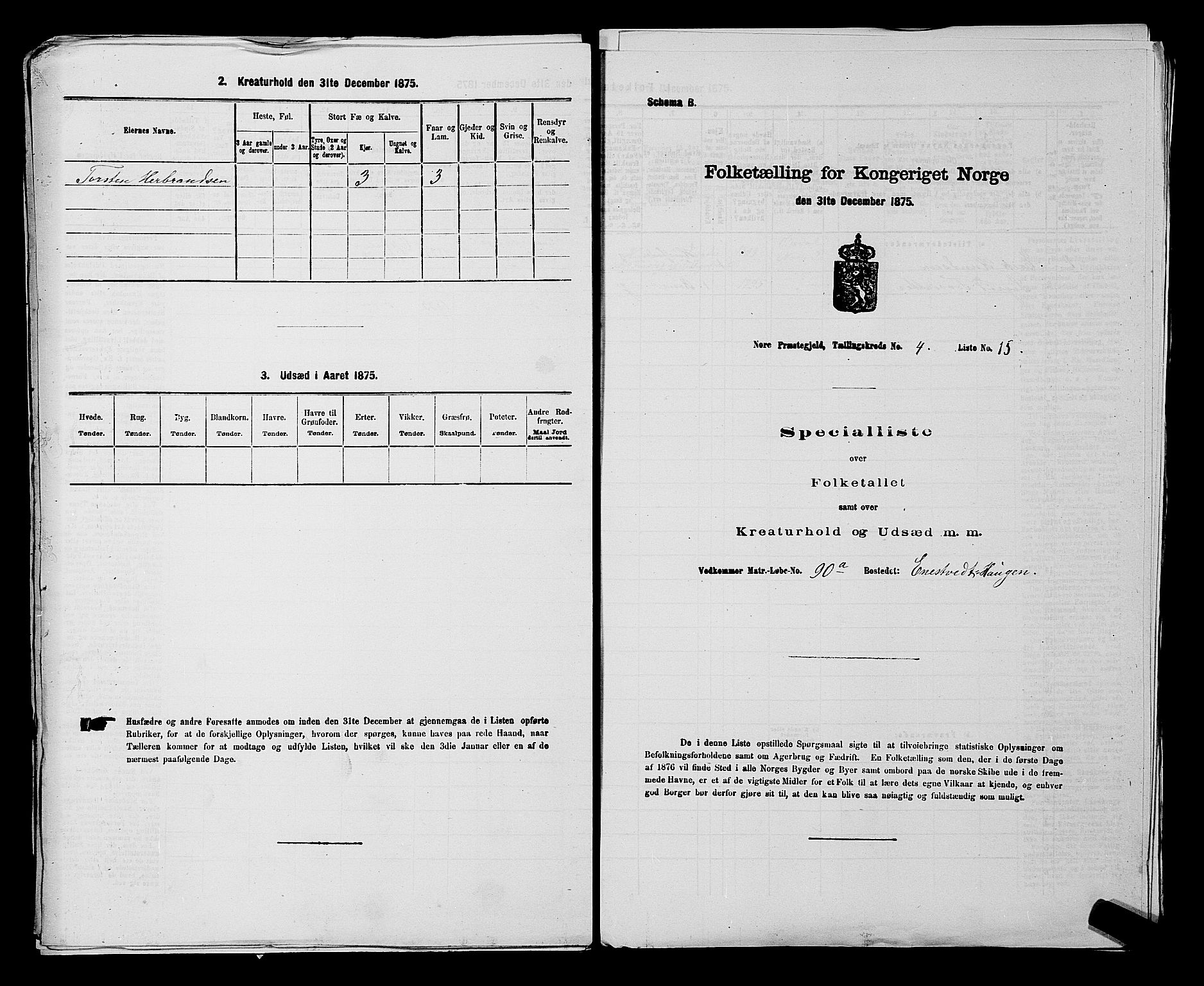 SAKO, 1875 census for 0633P Nore, 1875, p. 590