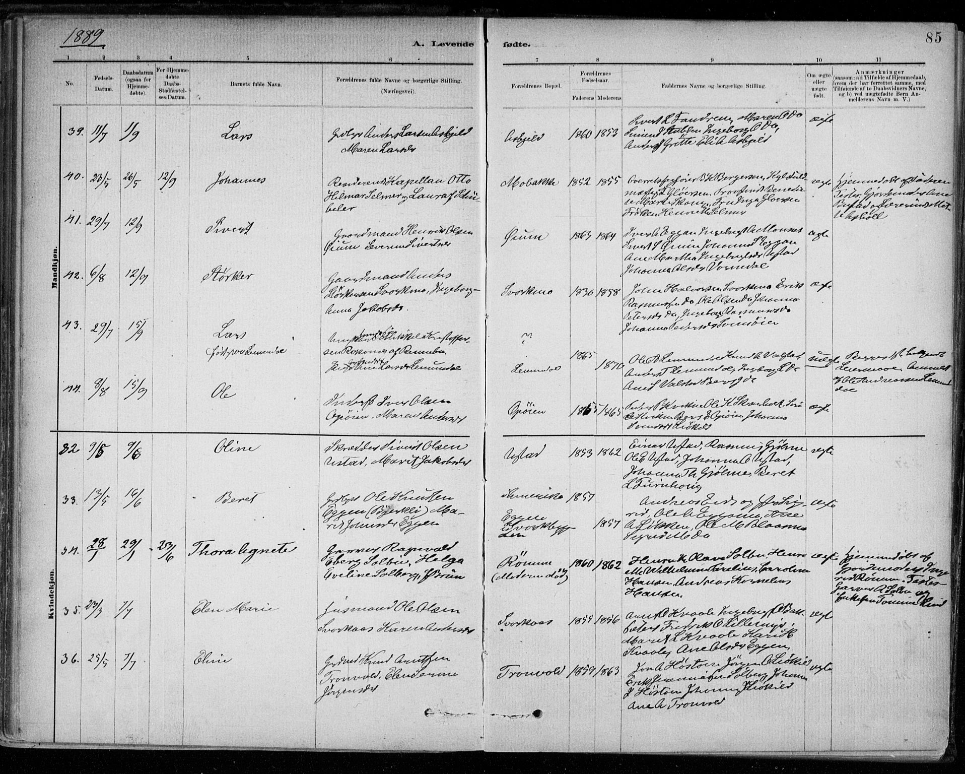 Ministerialprotokoller, klokkerbøker og fødselsregistre - Sør-Trøndelag, SAT/A-1456/668/L0809: Parish register (official) no. 668A09, 1881-1895, p. 85