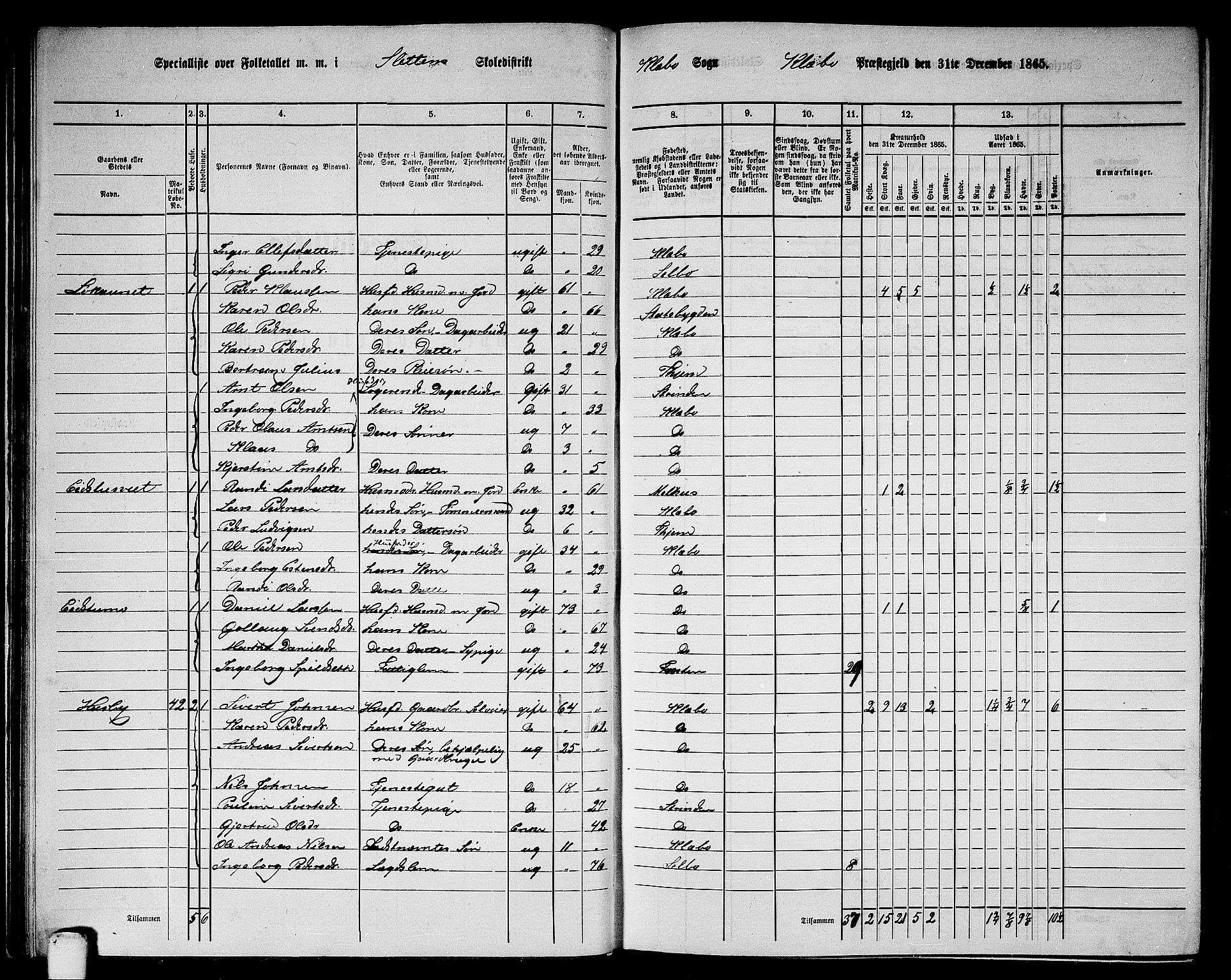 RA, 1865 census for Klæbu, 1865, p. 35