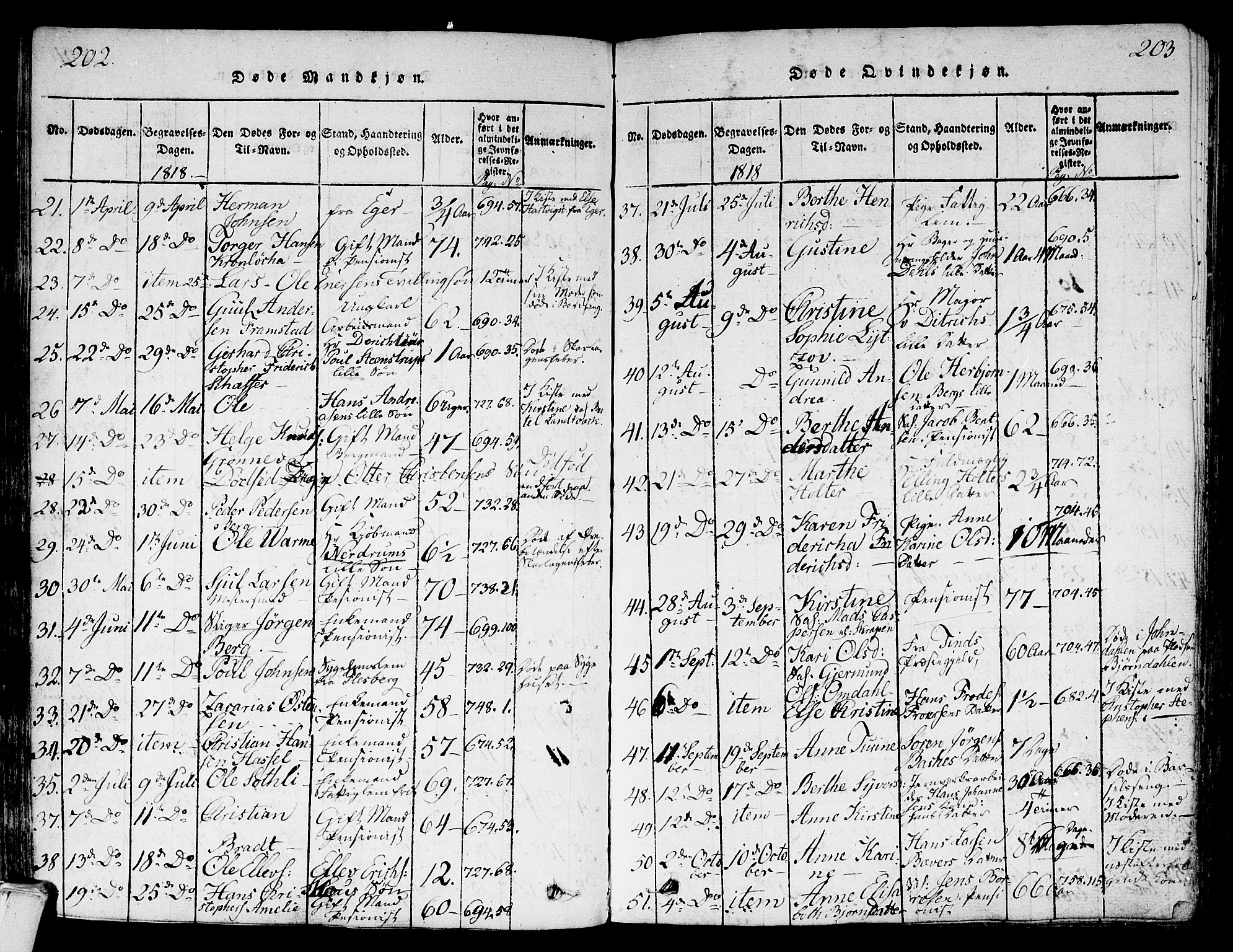 Kongsberg kirkebøker, AV/SAKO-A-22/G/Ga/L0001: Parish register (copy) no. 1, 1816-1839, p. 202-203