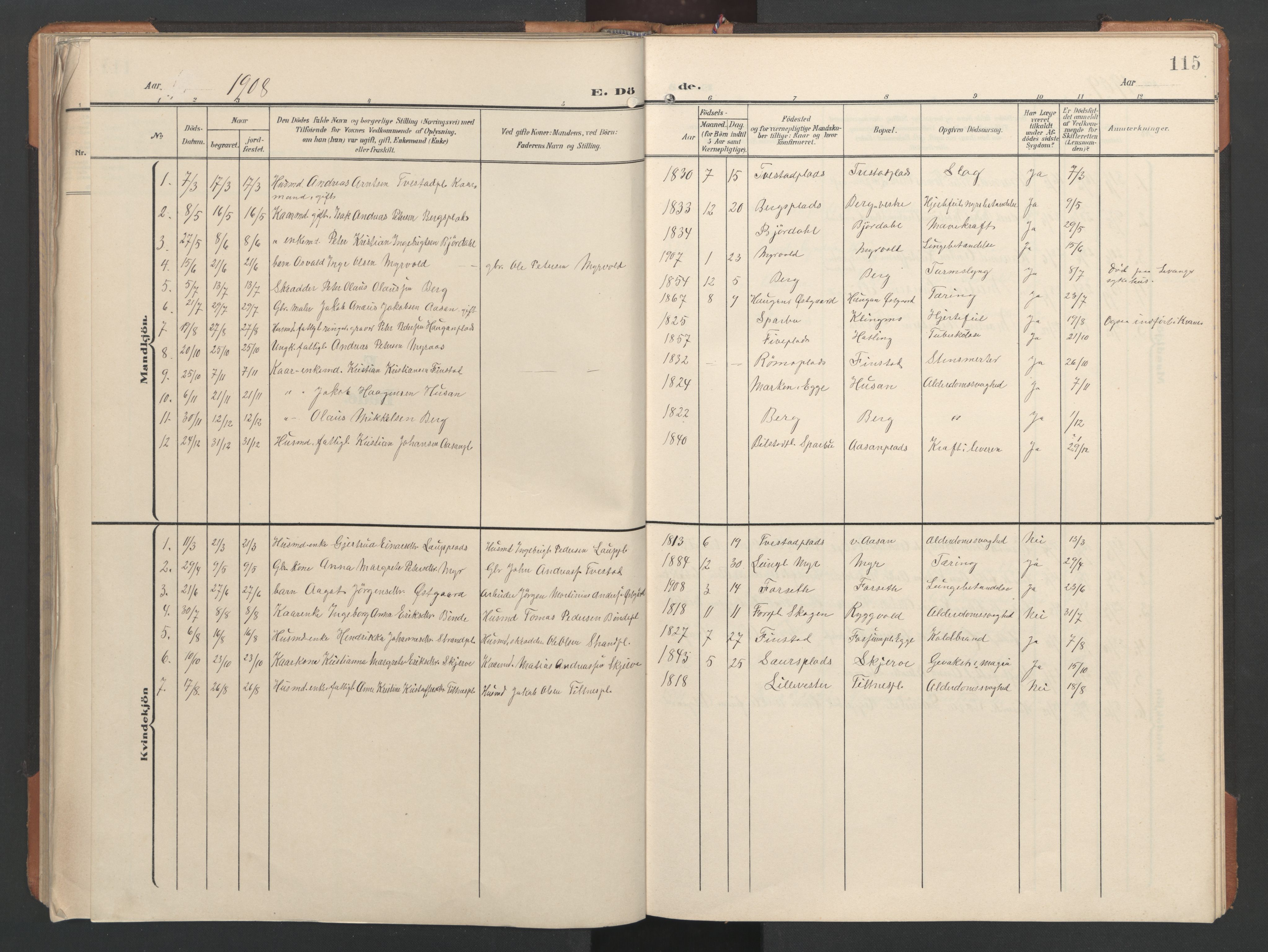 Ministerialprotokoller, klokkerbøker og fødselsregistre - Nord-Trøndelag, SAT/A-1458/746/L0455: Parish register (copy) no. 746C01, 1908-1933, p. 115
