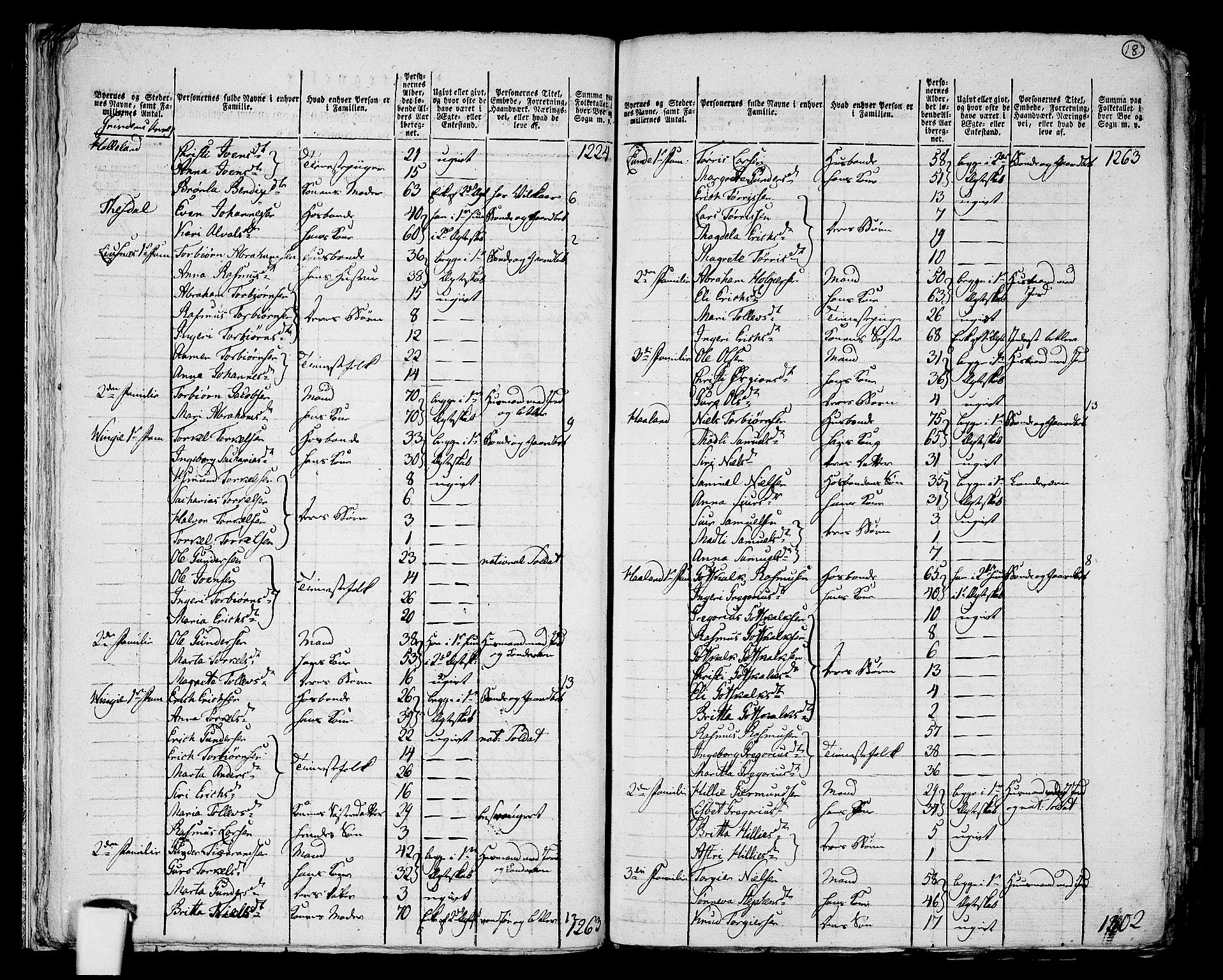 RA, 1801 census for 1211P Etne, 1801, p. 17b-18a