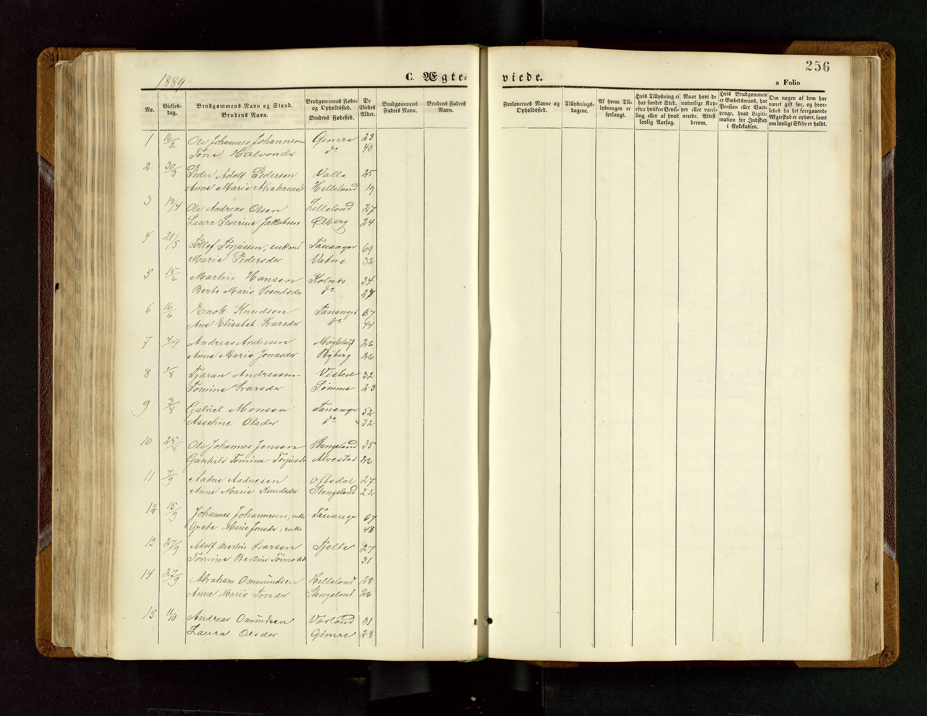 Håland sokneprestkontor, SAST/A-101802/001/30BB/L0003: Parish register (copy) no. B 3, 1873-1893, p. 256