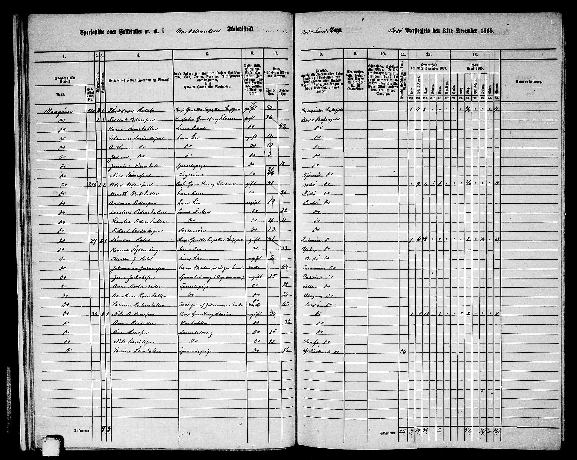 RA, 1865 census for Bodø/Bodø, 1865, p. 19