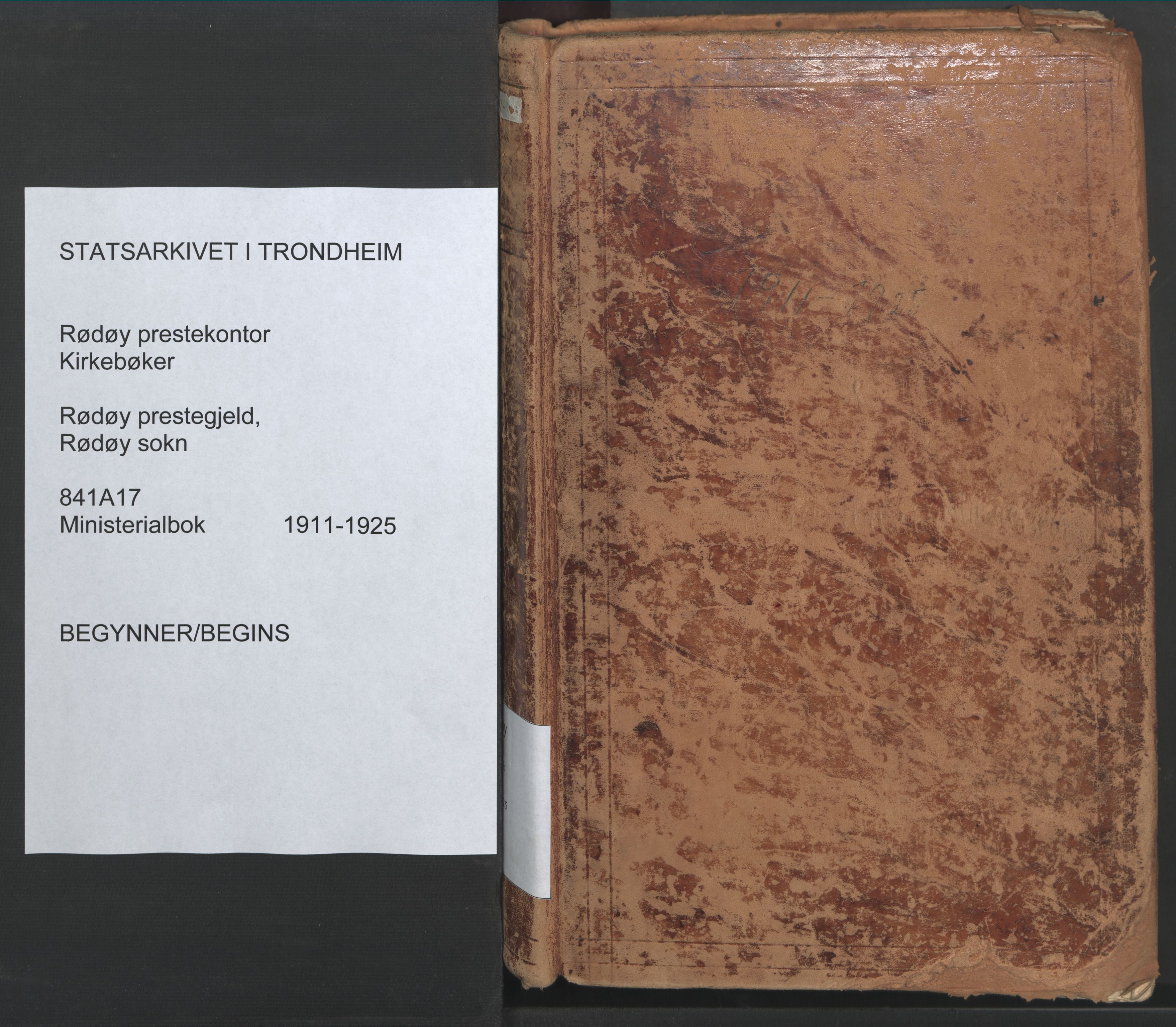 Ministerialprotokoller, klokkerbøker og fødselsregistre - Nordland, SAT/A-1459/841/L0614: Parish register (official) no. 841A17, 1911-1925