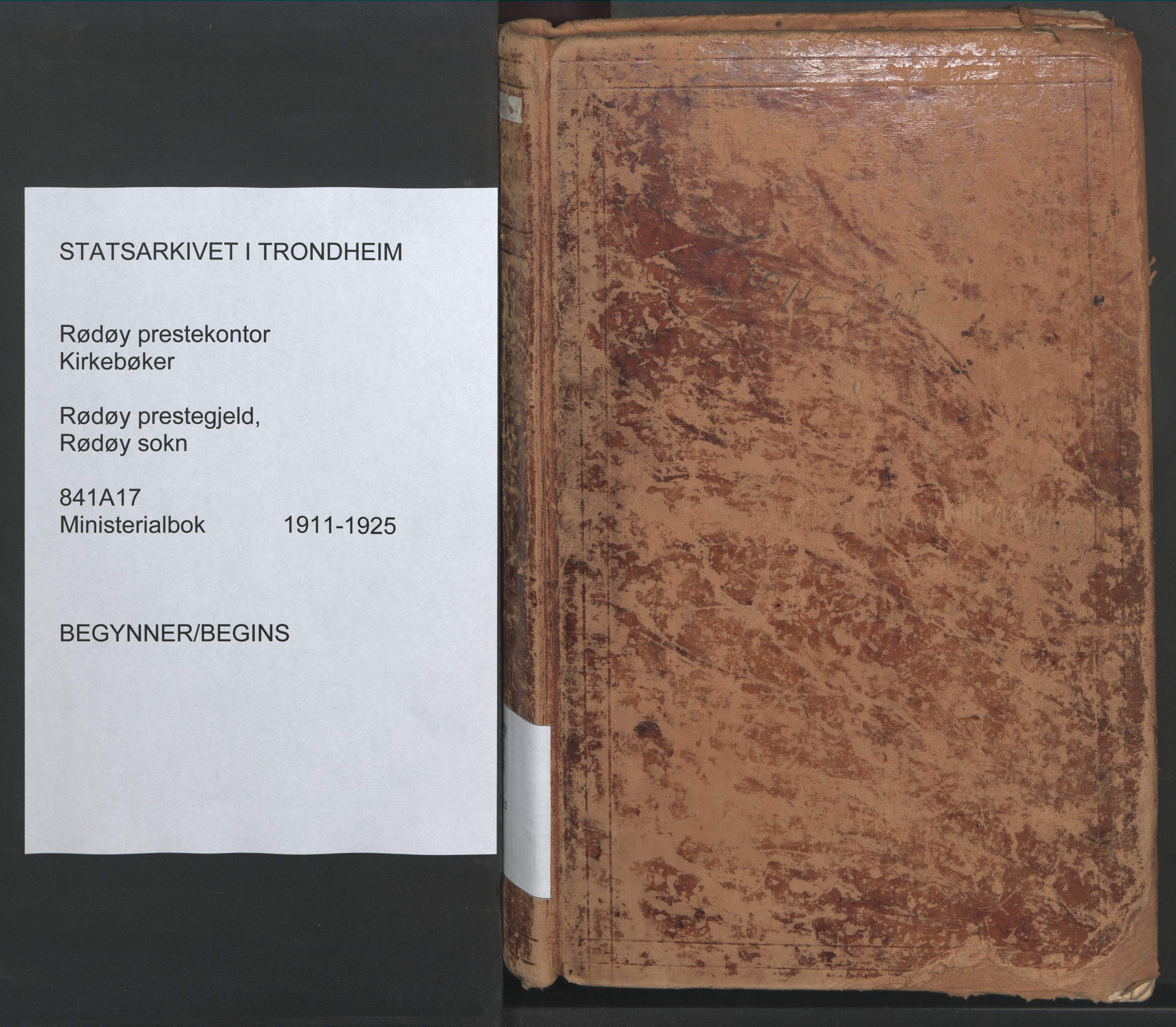 Ministerialprotokoller, klokkerbøker og fødselsregistre - Nordland, AV/SAT-A-1459/841/L0614: Parish register (official) no. 841A17, 1911-1925