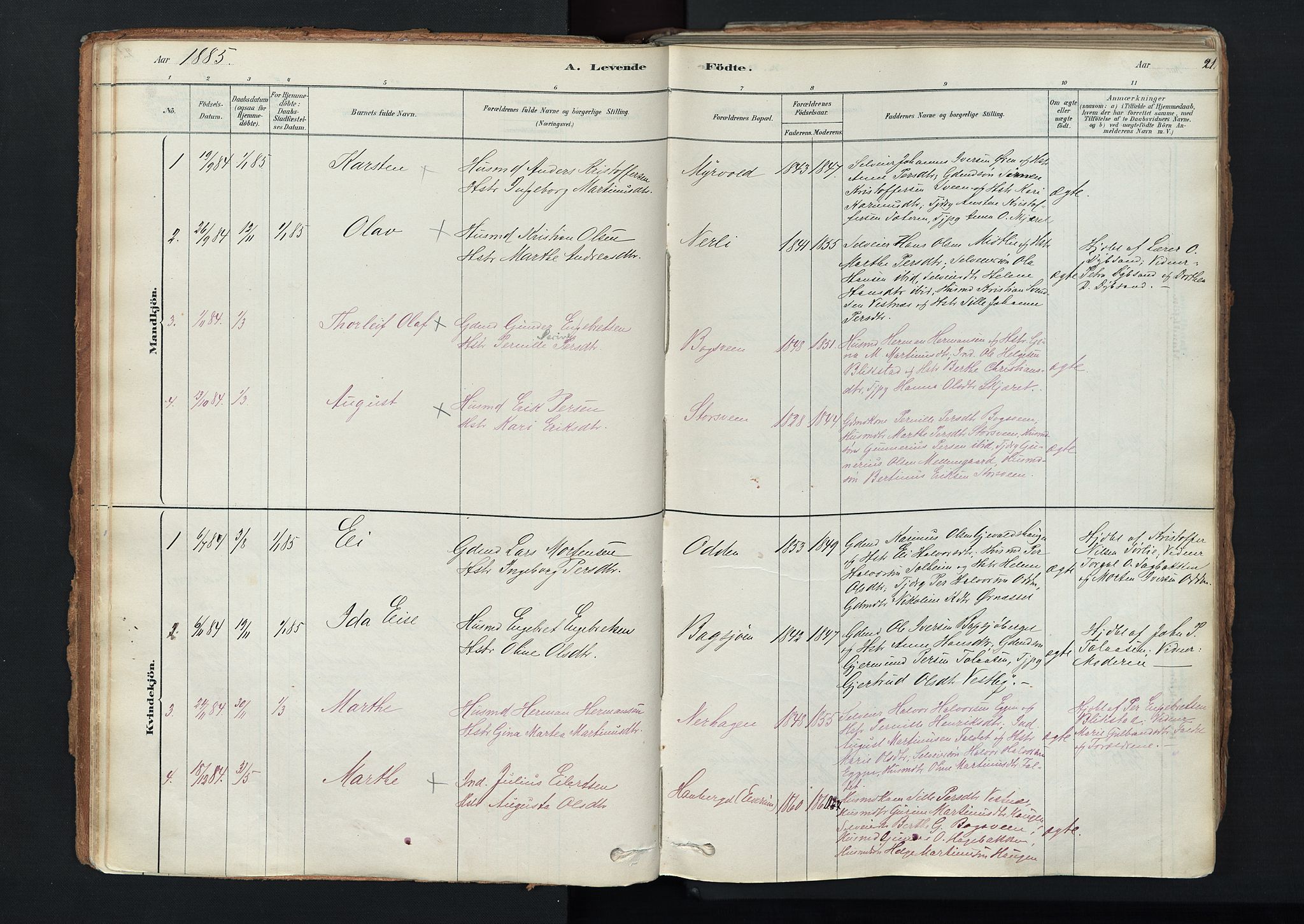 Trysil prestekontor, AV/SAH-PREST-046/H/Ha/Haa/L0011: Parish register (official) no. 11, 1878-1912, p. 21