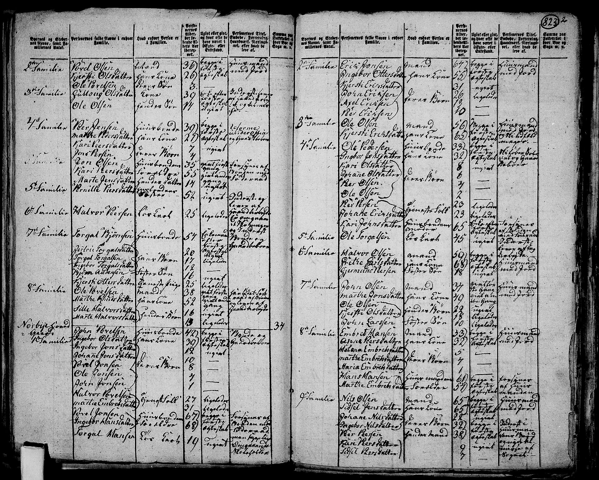 RA, 1801 census for 0428P Trysil, 1801, p. 822b-823a