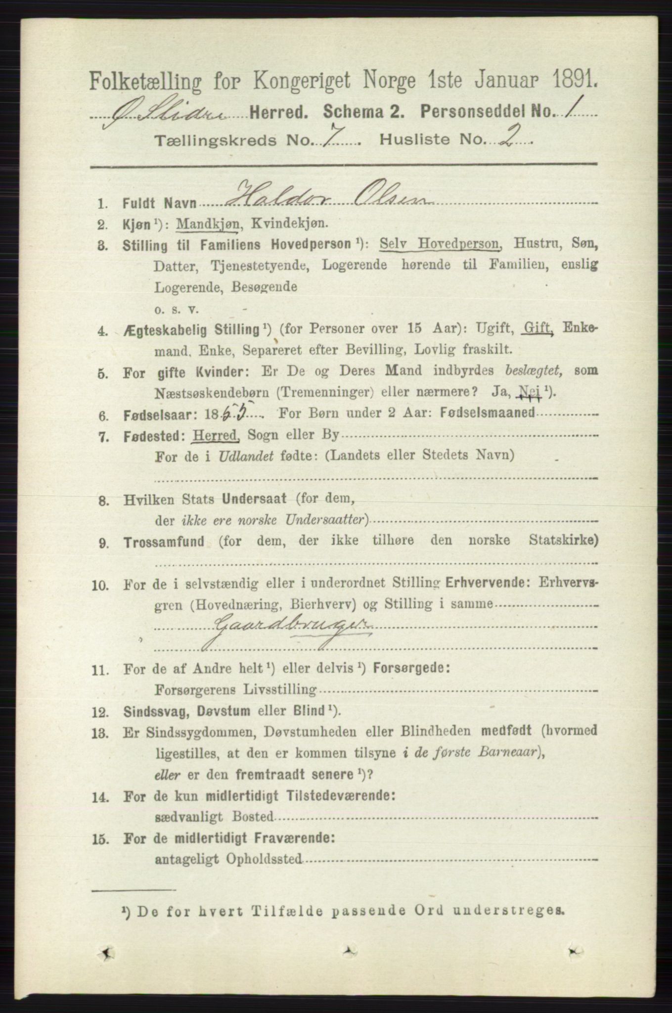 RA, 1891 census for 0544 Øystre Slidre, 1891, p. 2176