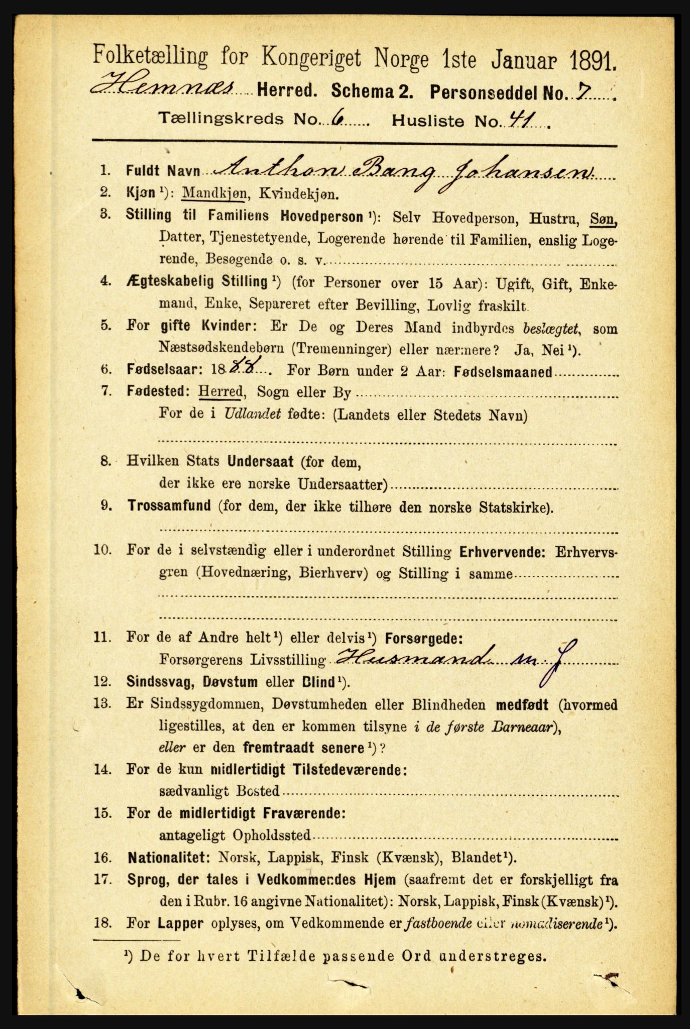 RA, 1891 census for 1832 Hemnes, 1891, p. 3201