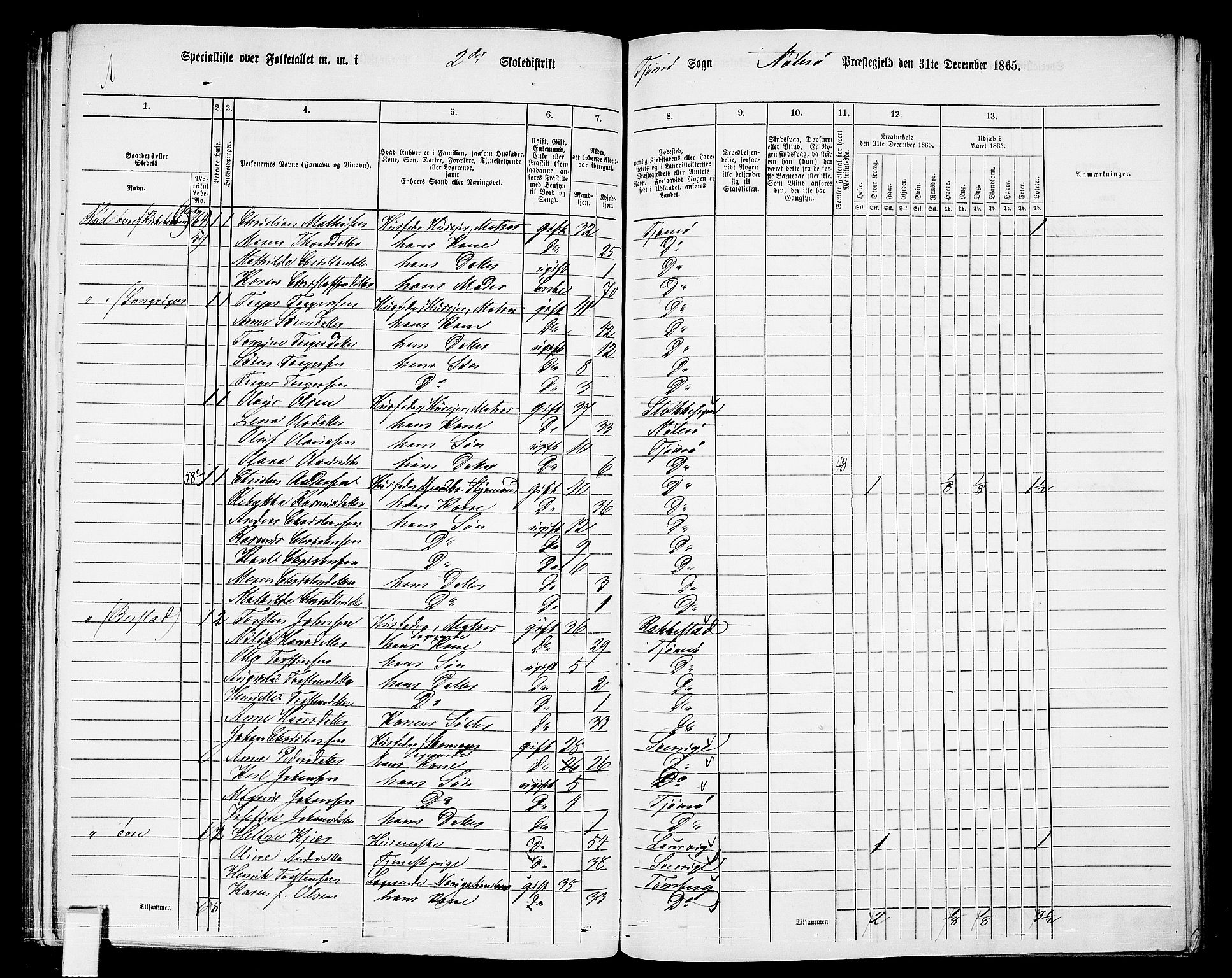 RA, 1865 census for Nøtterøy, 1865, p. 235