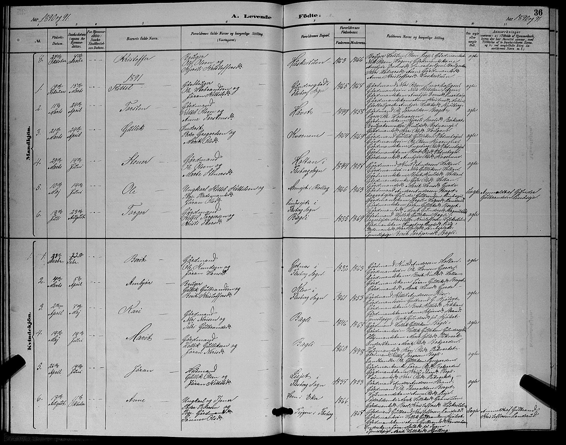 Flesberg kirkebøker, SAKO/A-18/G/Ga/L0004: Parish register (copy) no. I 4 /3, 1890-1898, p. 36