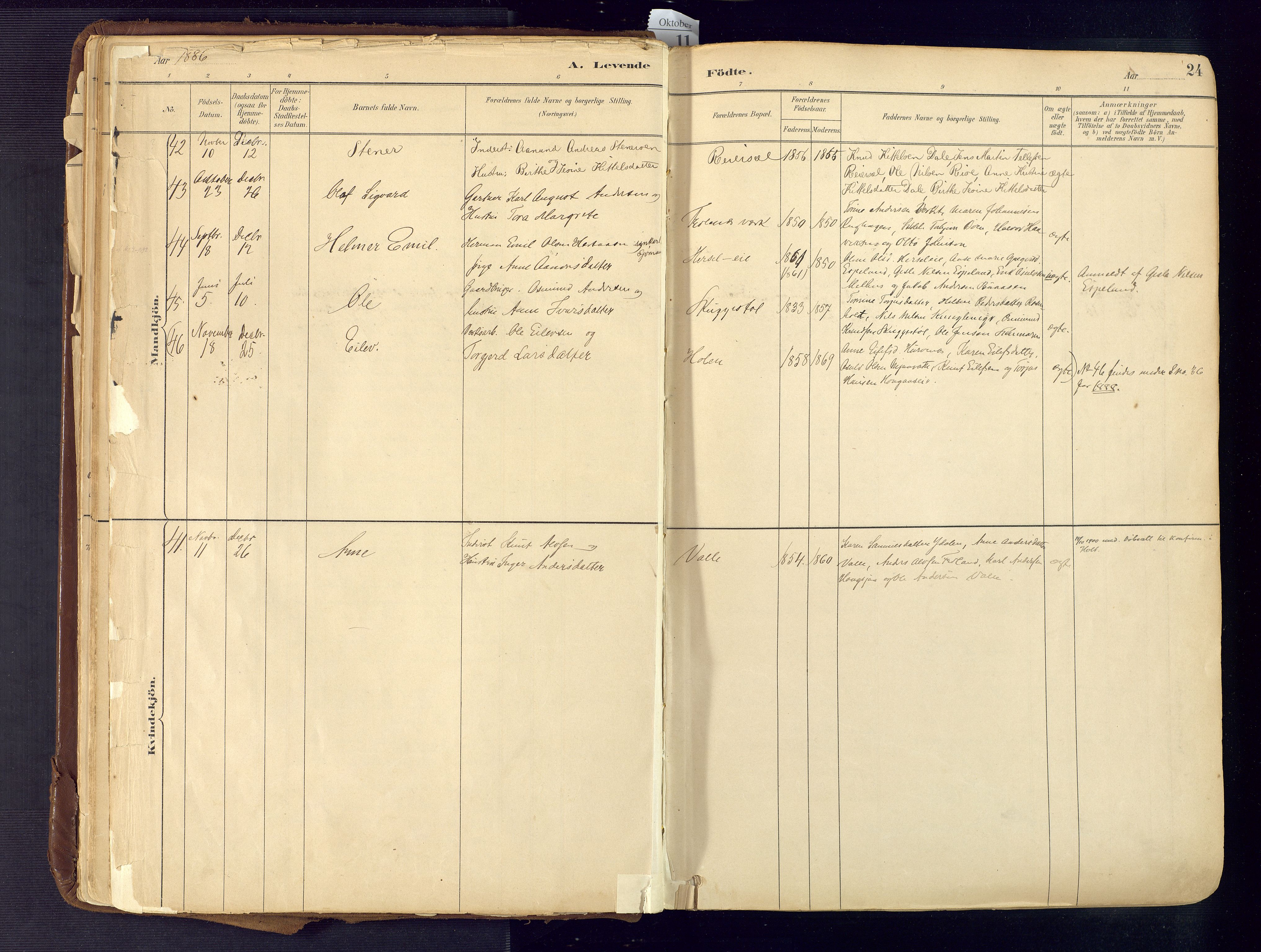 Froland sokneprestkontor, AV/SAK-1111-0013/F/Fa/L0005: Parish register (official) no. A 5, 1882-1921, p. 24