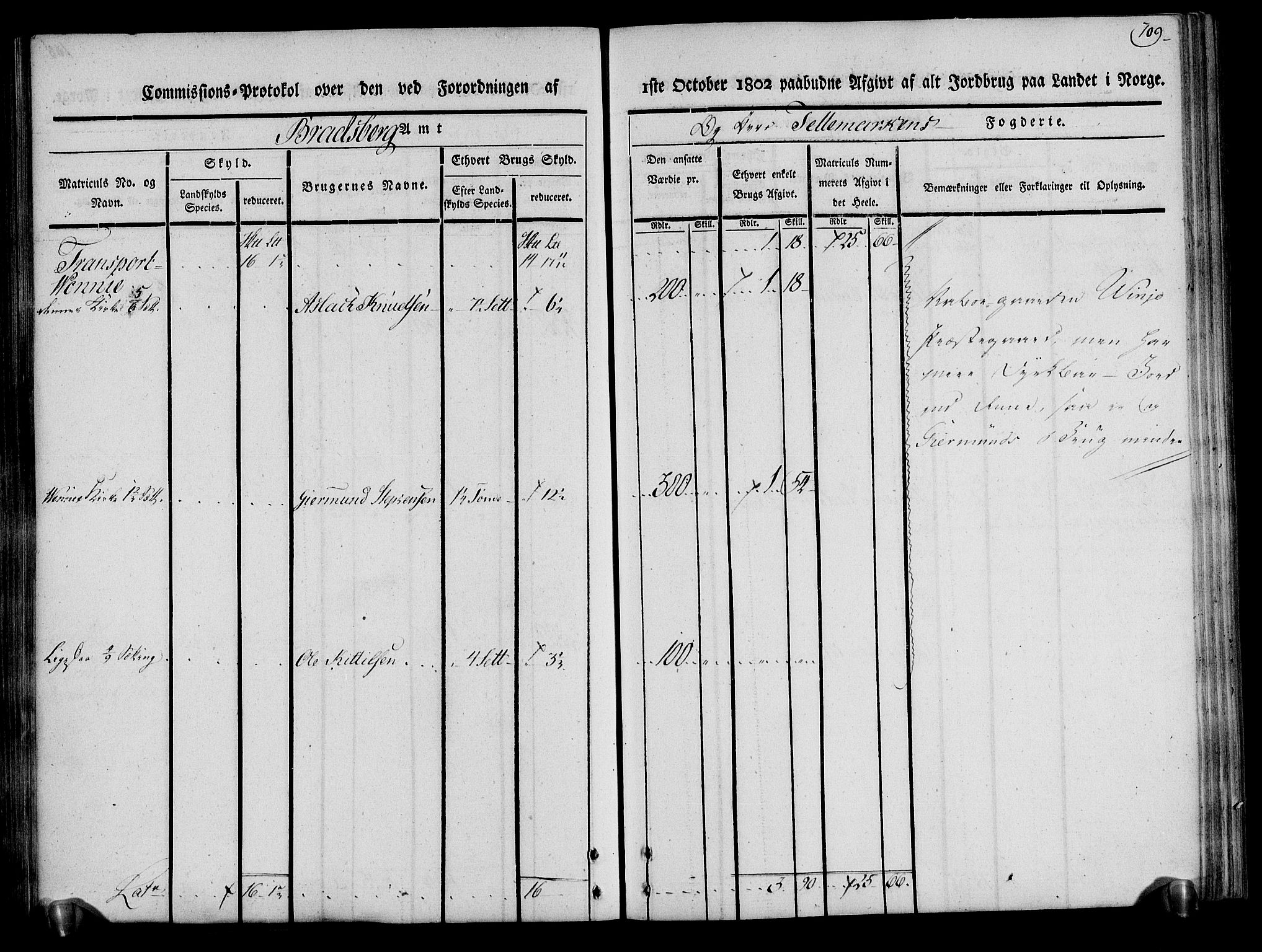 Rentekammeret inntil 1814, Realistisk ordnet avdeling, AV/RA-EA-4070/N/Ne/Nea/L0075: Øvre Telemarken fogderi. Kommisjonsprotokoll for fogderiets vestre del - Kviteseid, Vinje, Moland [):Fyresdal] og Lårdal prestegjeld., 1803, p. 109