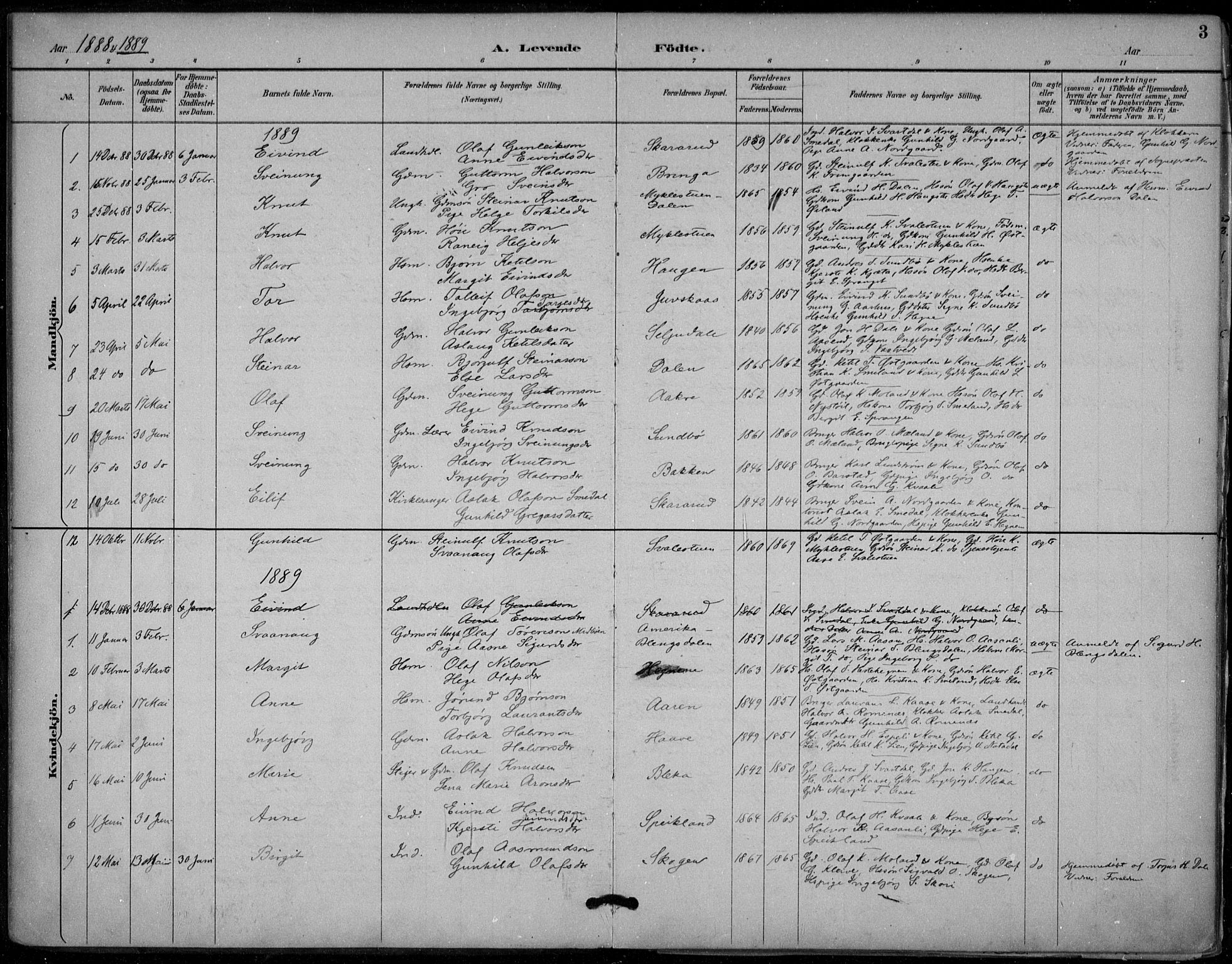 Seljord kirkebøker, AV/SAKO-A-20/F/Fb/L0002: Parish register (official) no. II 2, 1887-1917, p. 3