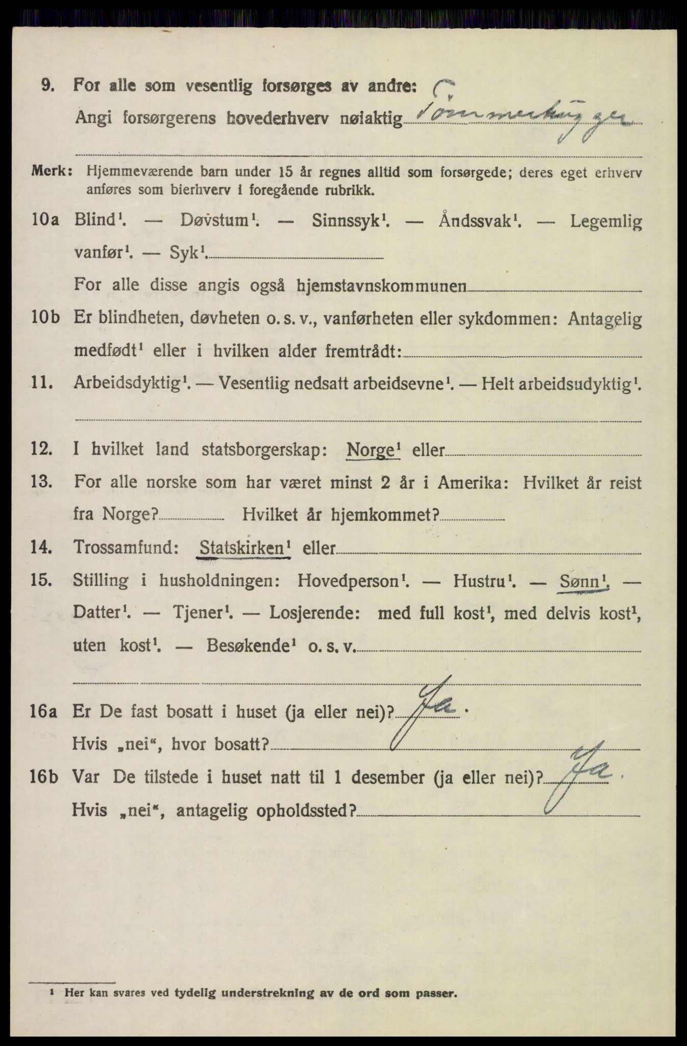 SAH, 1920 census for Øvre Rendal, 1920, p. 4274
