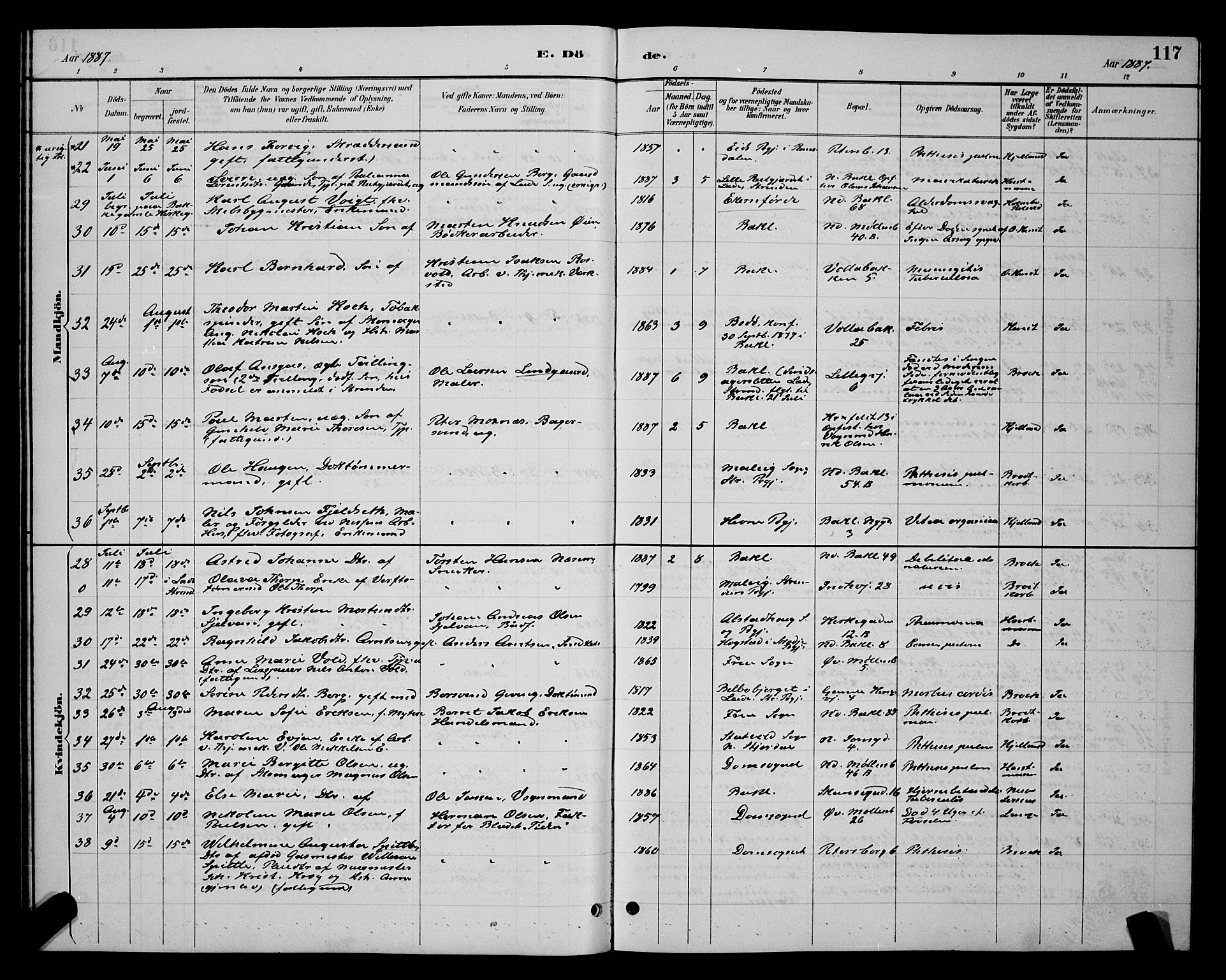 Ministerialprotokoller, klokkerbøker og fødselsregistre - Sør-Trøndelag, AV/SAT-A-1456/604/L0223: Parish register (copy) no. 604C06, 1886-1897, p. 117