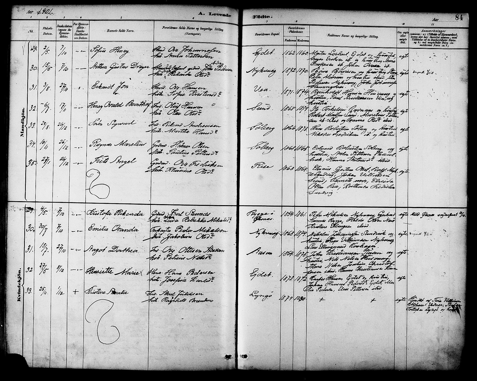 Ministerialprotokoller, klokkerbøker og fødselsregistre - Nordland, AV/SAT-A-1459/892/L1320: Parish register (official) no. 892A01, 1886-1901, p. 84