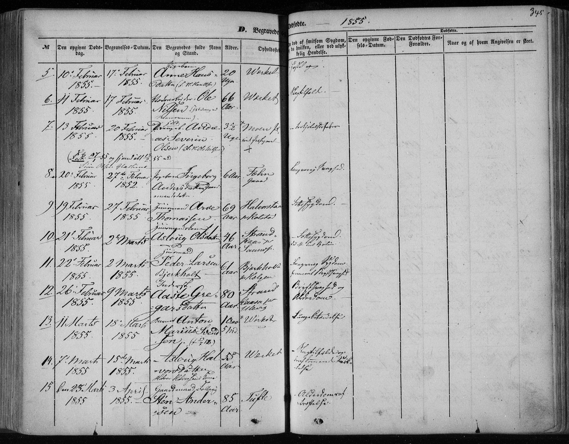 Holla kirkebøker, SAKO/A-272/F/Fa/L0005: Parish register (official) no. 5, 1849-1860, p. 345