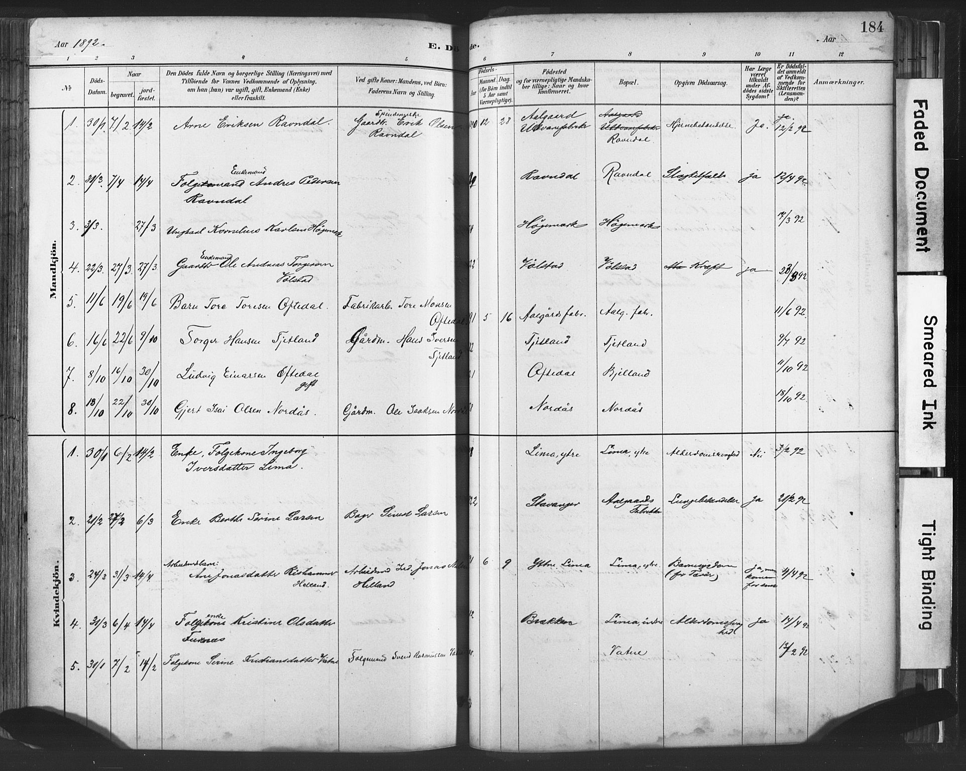 Lye sokneprestkontor, SAST/A-101794/001/30BA/L0010: Parish register (official) no. A 10, 1881-1896, p. 184