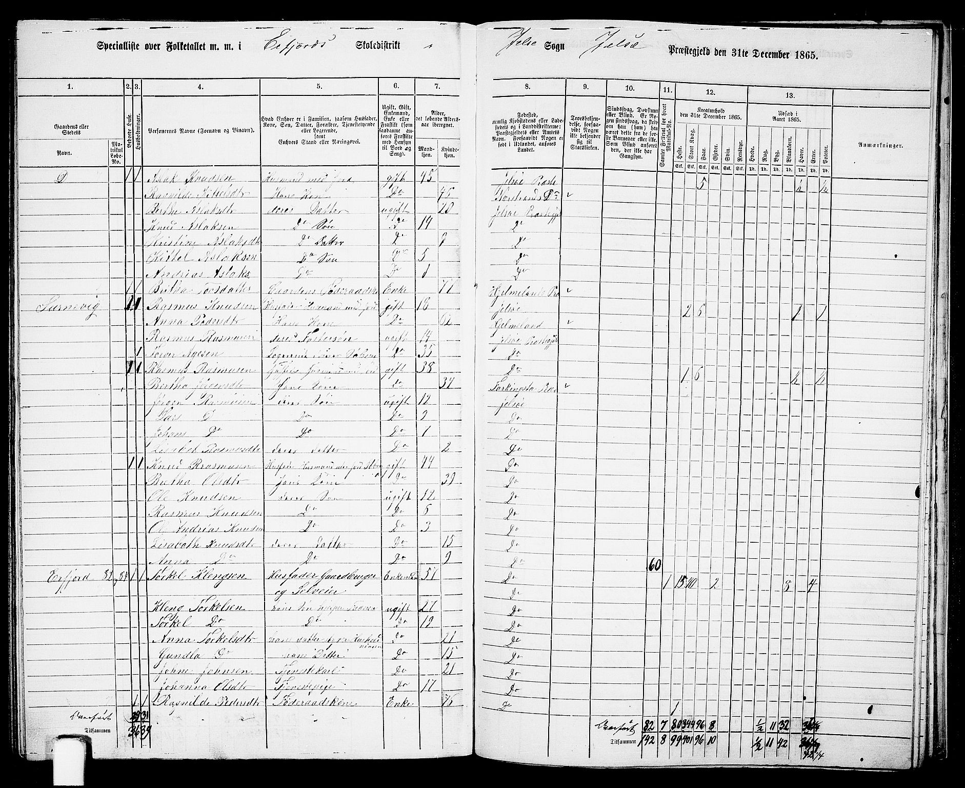 RA, 1865 census for Jelsa, 1865, p. 101