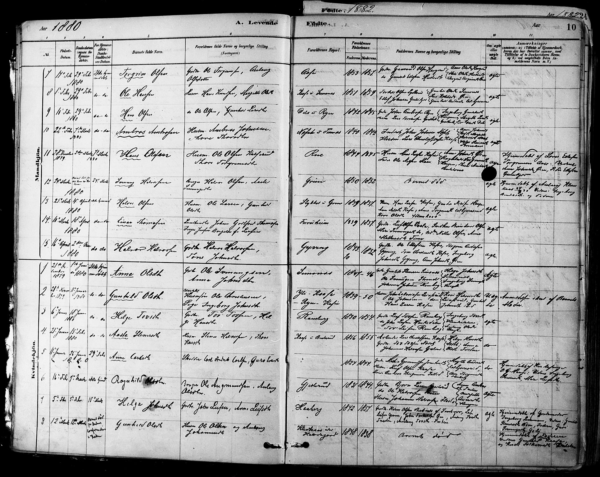 Heddal kirkebøker, SAKO/A-268/F/Fa/L0008: Parish register (official) no. I 8, 1878-1903, p. 10