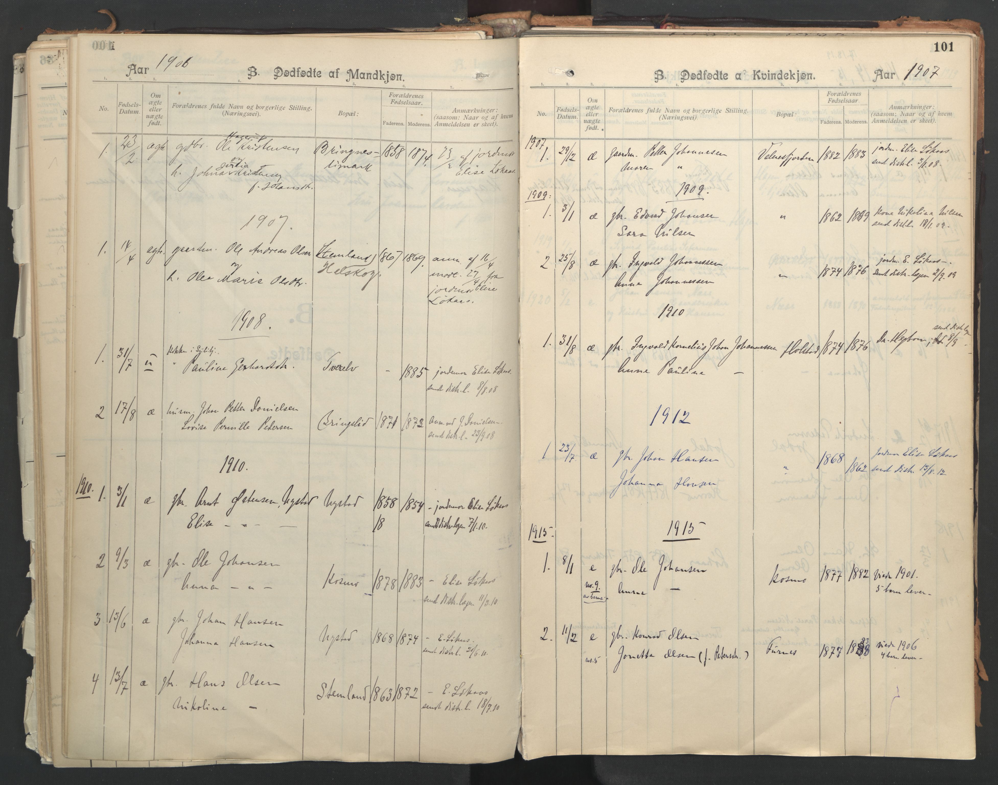 Ministerialprotokoller, klokkerbøker og fødselsregistre - Nordland, SAT/A-1459/851/L0724: Parish register (official) no. 851A01, 1901-1922, p. 101