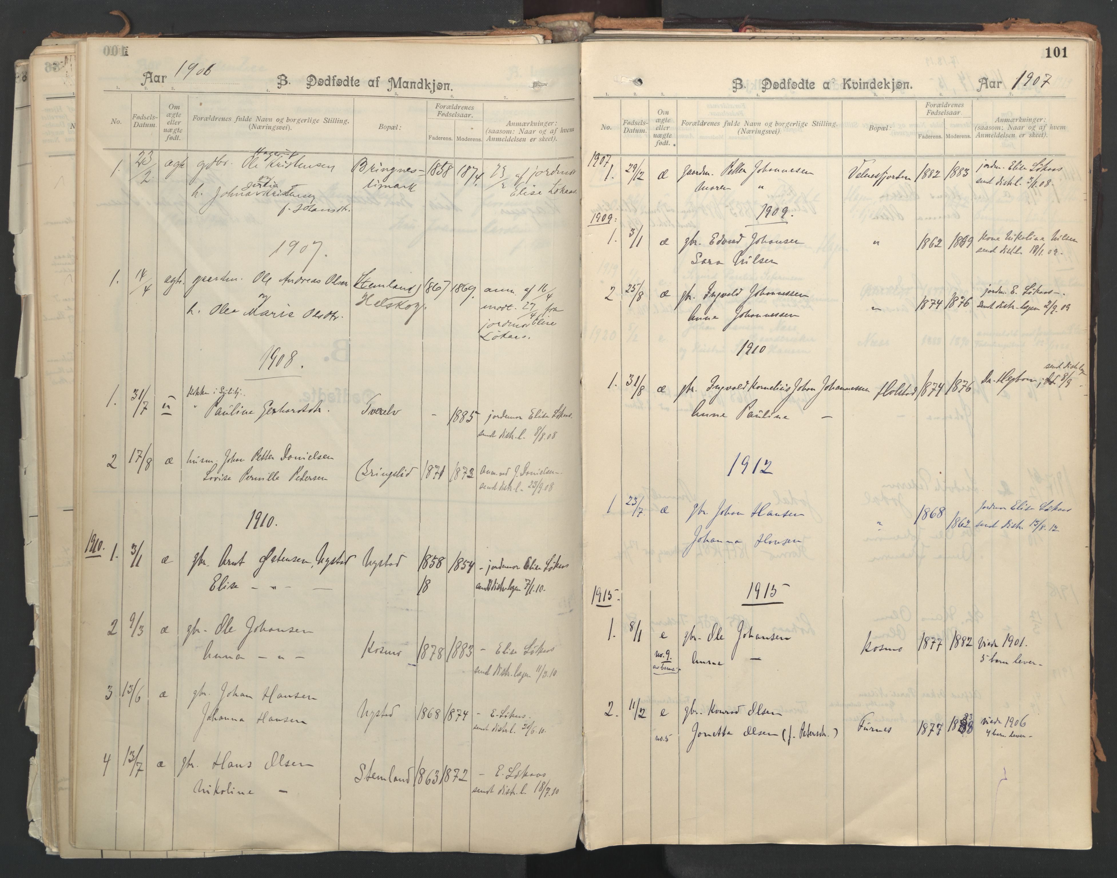 Ministerialprotokoller, klokkerbøker og fødselsregistre - Nordland, AV/SAT-A-1459/851/L0724: Parish register (official) no. 851A01, 1901-1922, p. 101