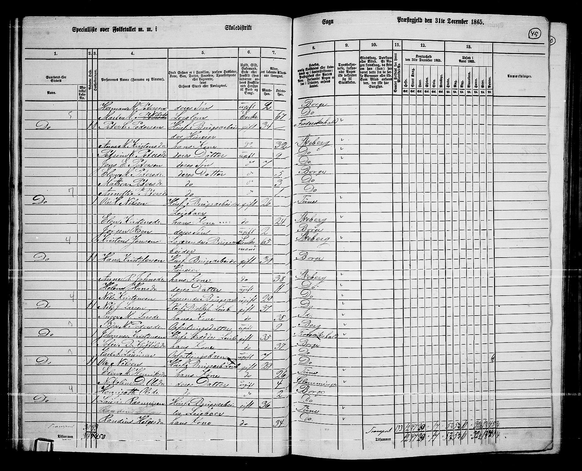 RA, 1865 census for Borge, 1865, p. 43