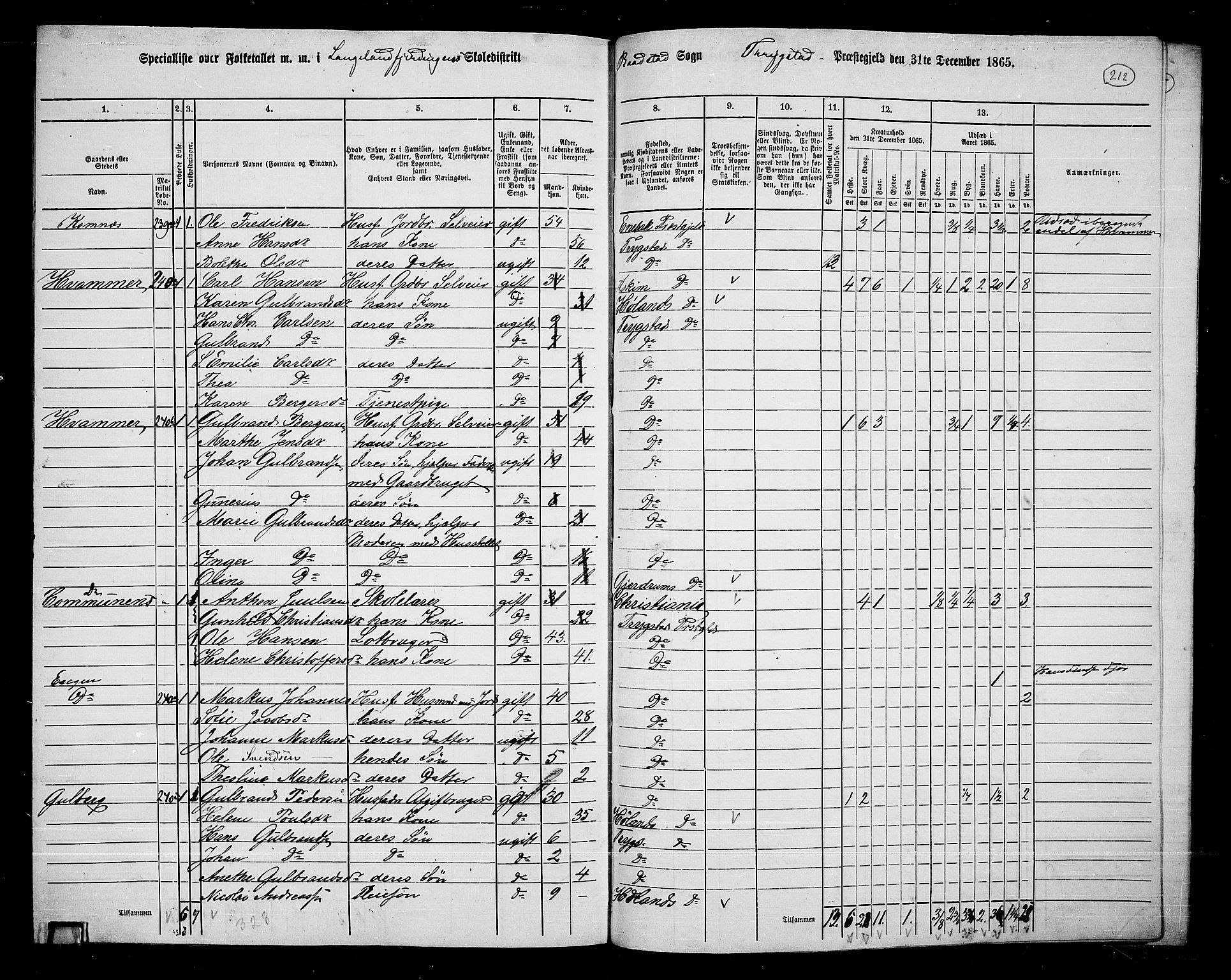 RA, 1865 census for Trøgstad, 1865, p. 187